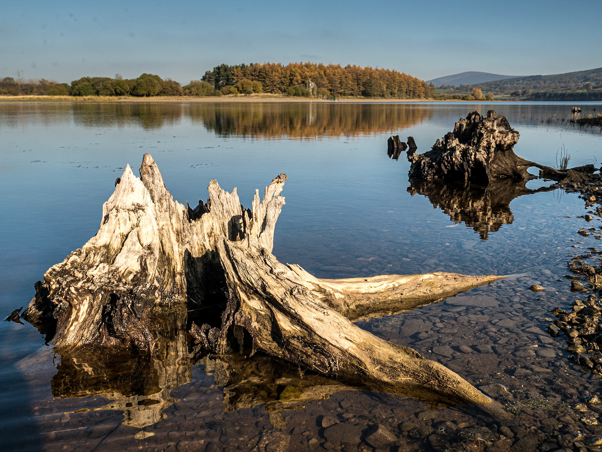Blessington Lakes, Co Wicklow, 1 Nov 2015