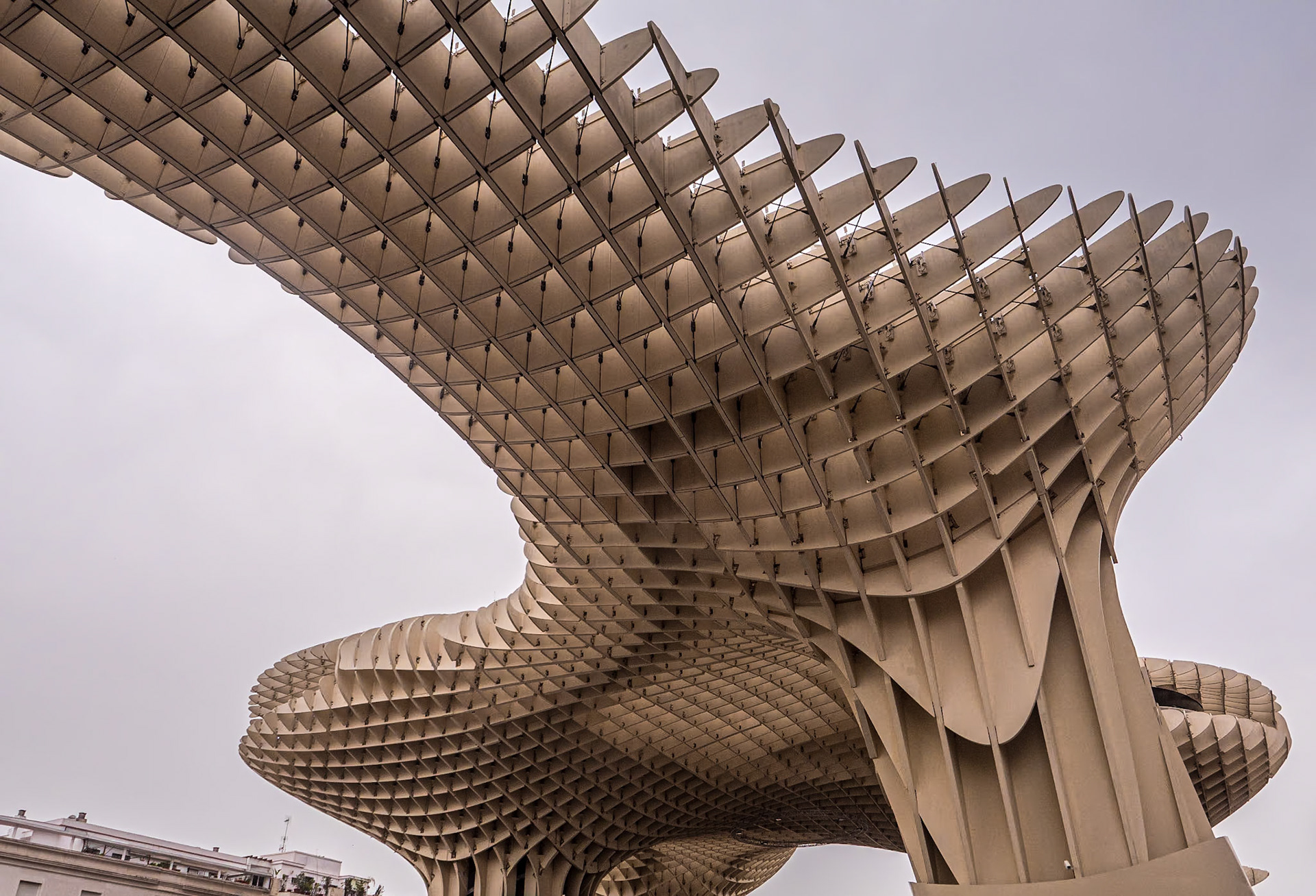 Las Setas de Sevilla, 18 Mar 2024