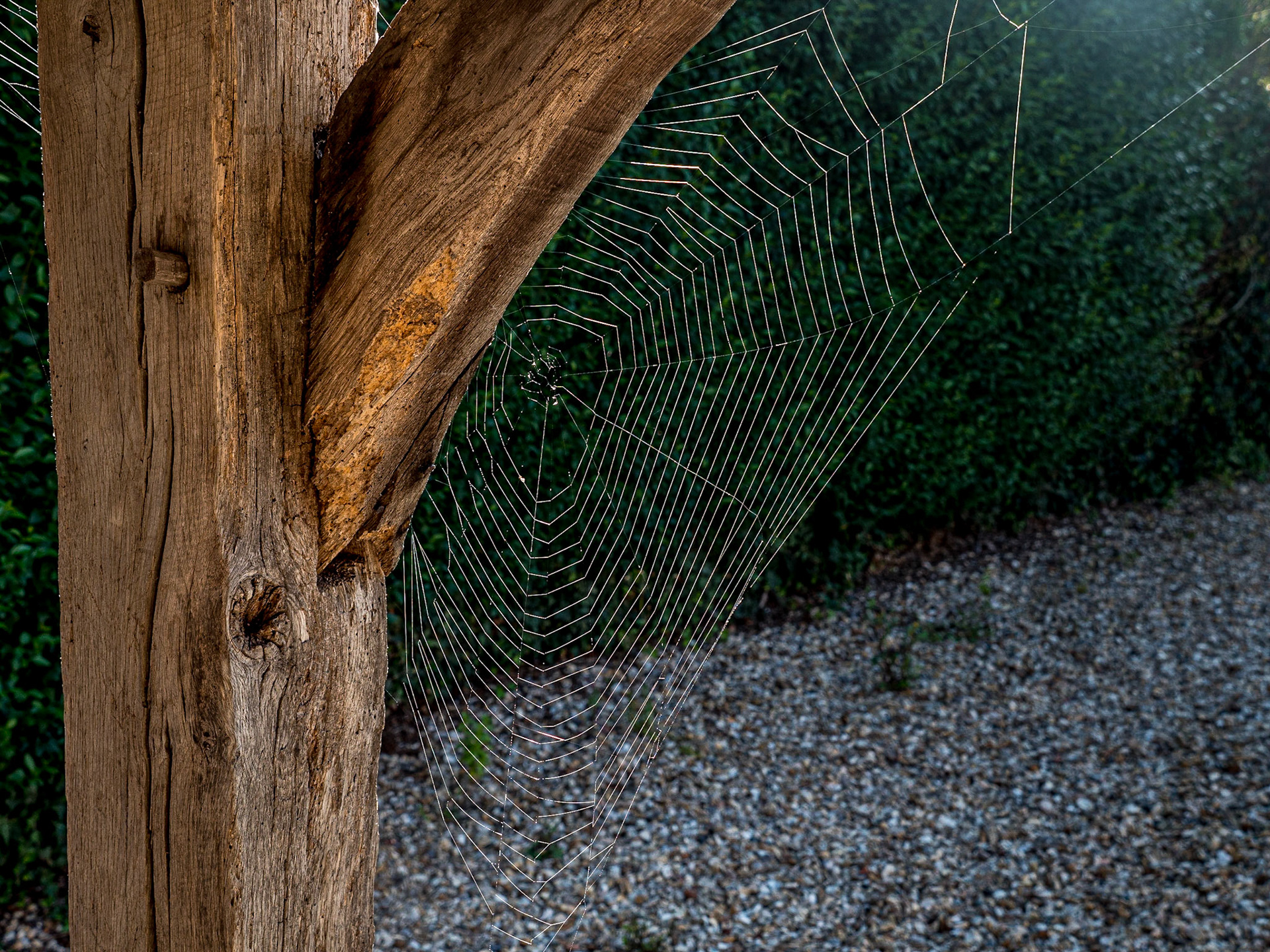 Houville en Vexin, Normandy, 23 Sep 2021