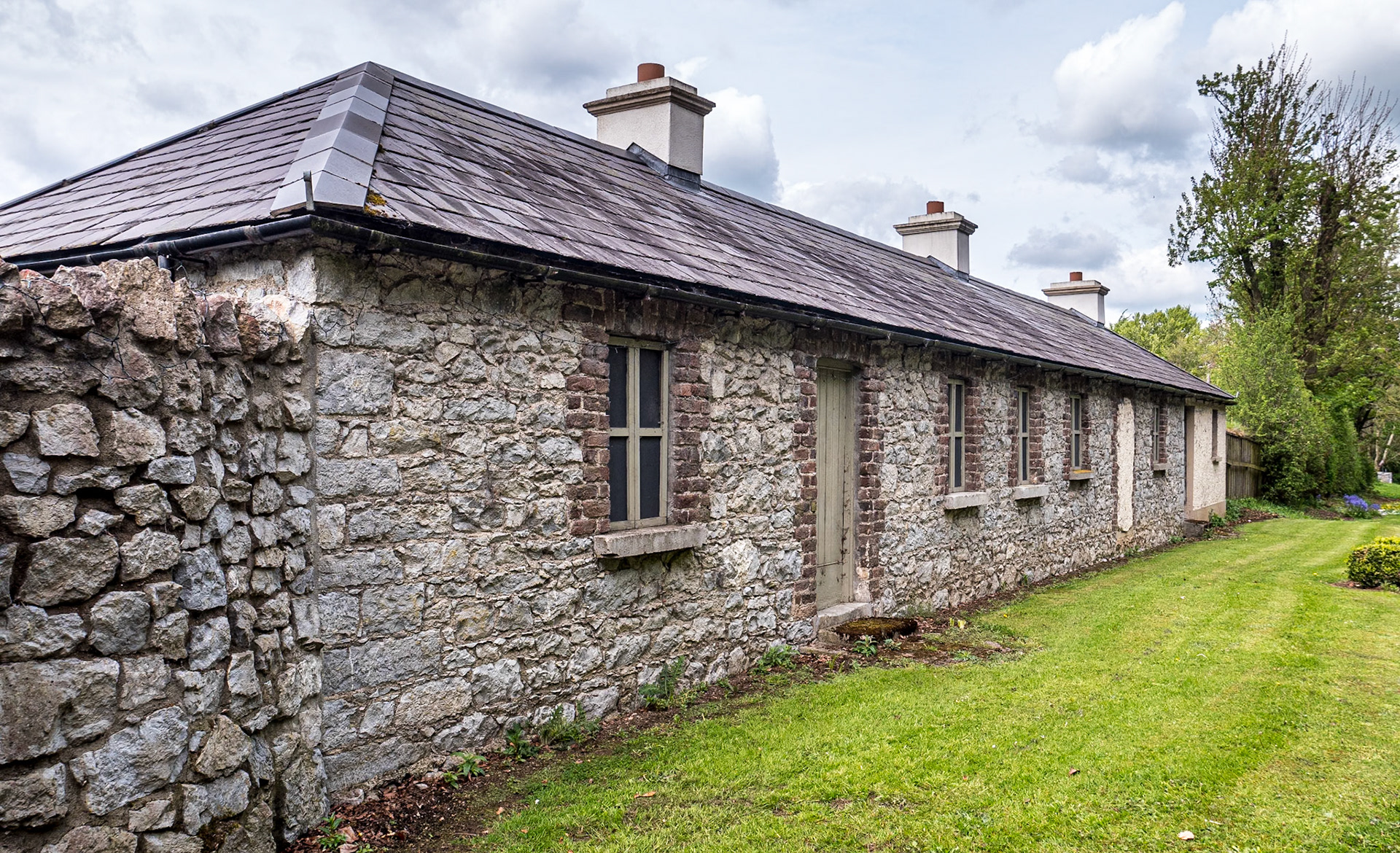 Beside Donadea Forest Park, Co Kildare, 2 May 2023