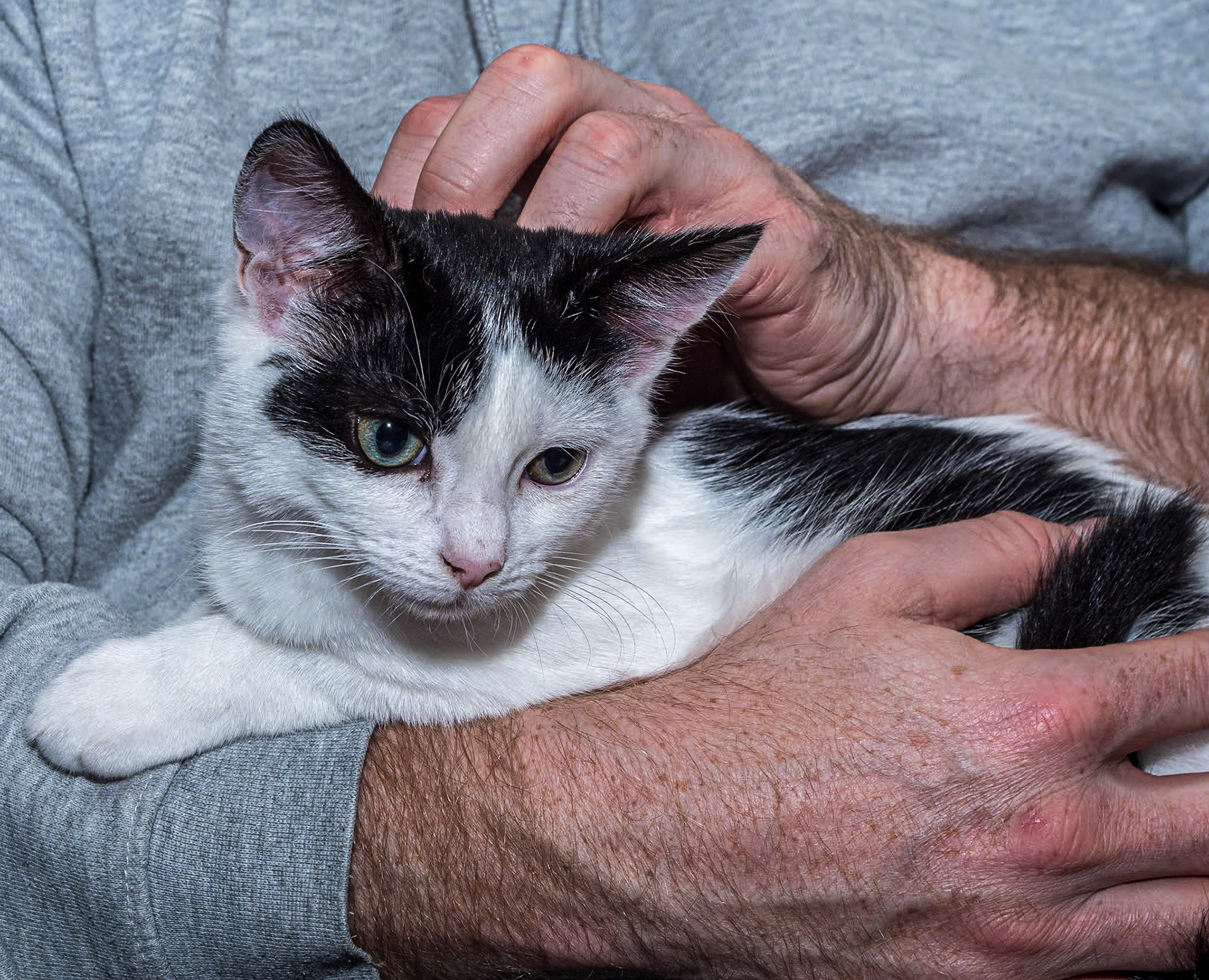 Arnaud, at home, 14 Oct 2023