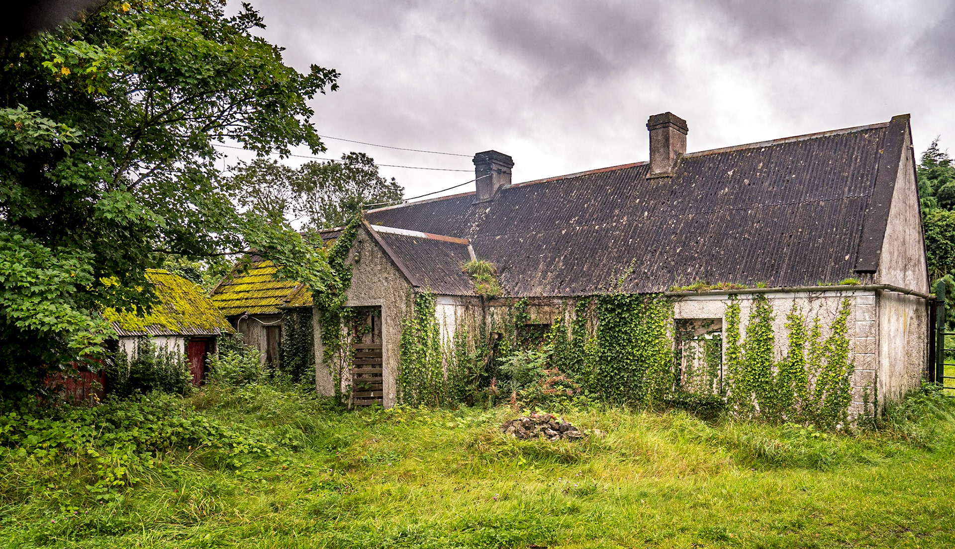 Abandoned house, near Kildangan, Co Kildare, 2 Sep 2020