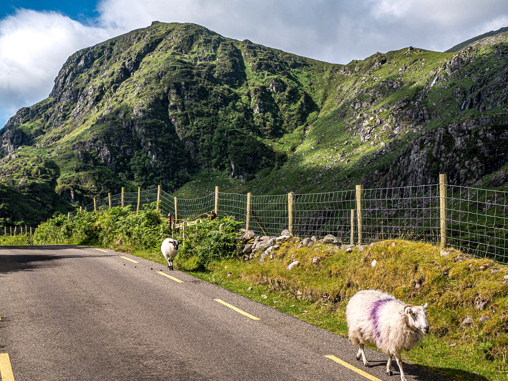 Gap of Dunloe, Co Kerry, 19 Jul 2015
