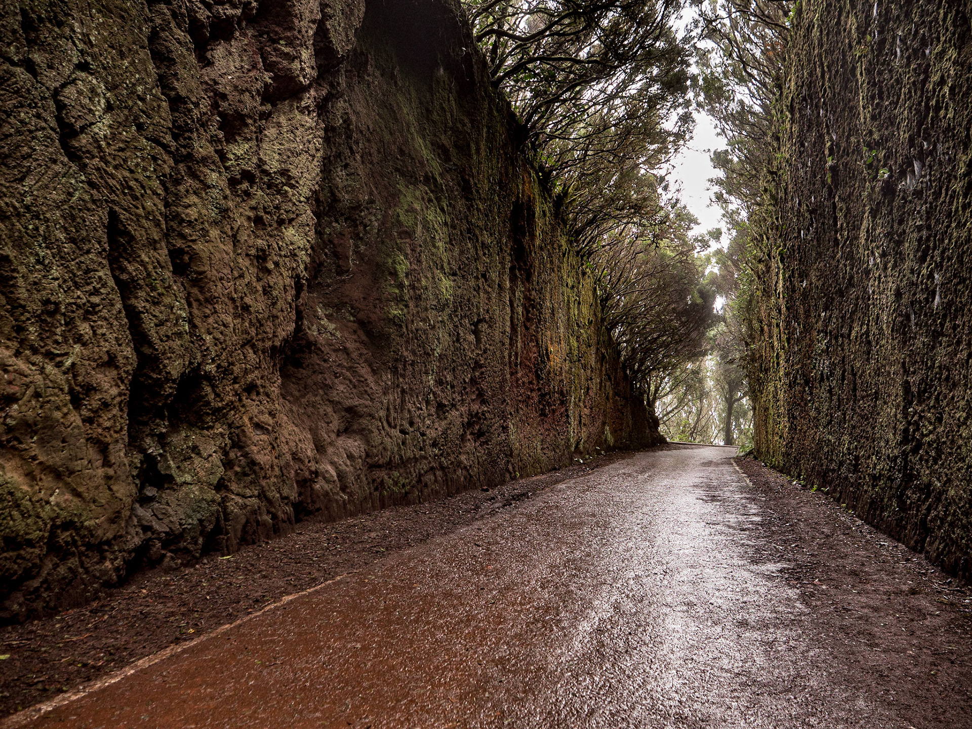Túnel de Las Hadas, Tenerife, 22 Feb 2023