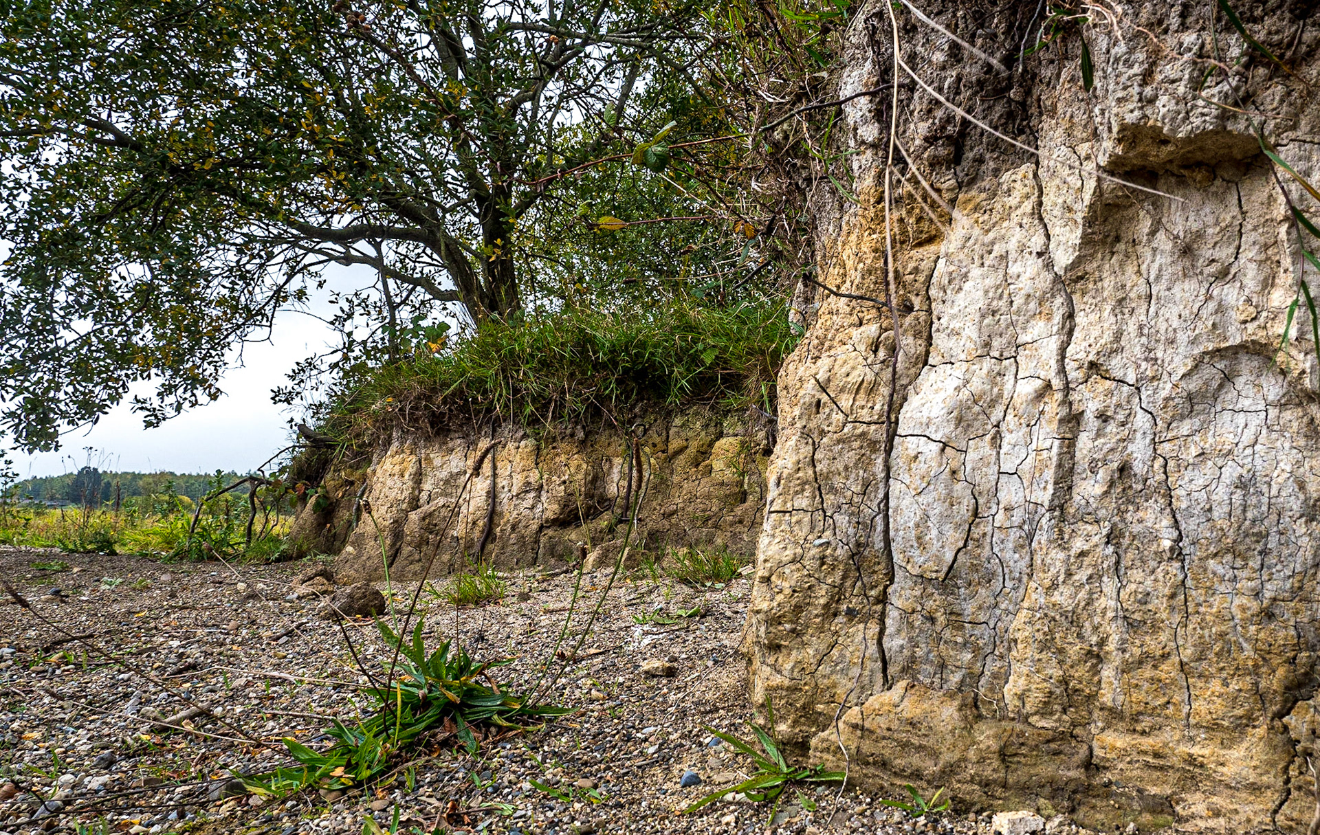 Avon Rí walk, Blessington Lakes, Co Wicklow, 16 Oct 2018