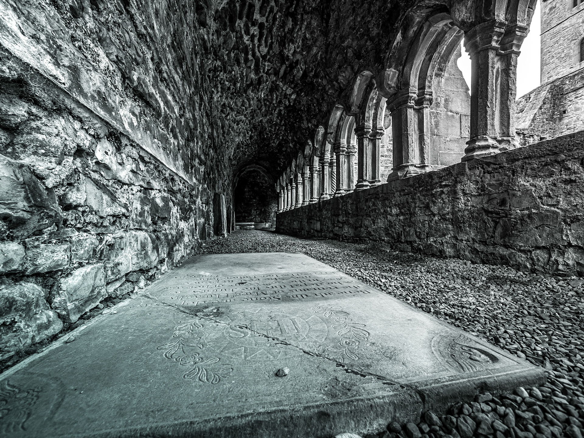 Sligo Abbey, 9 Oct 2014