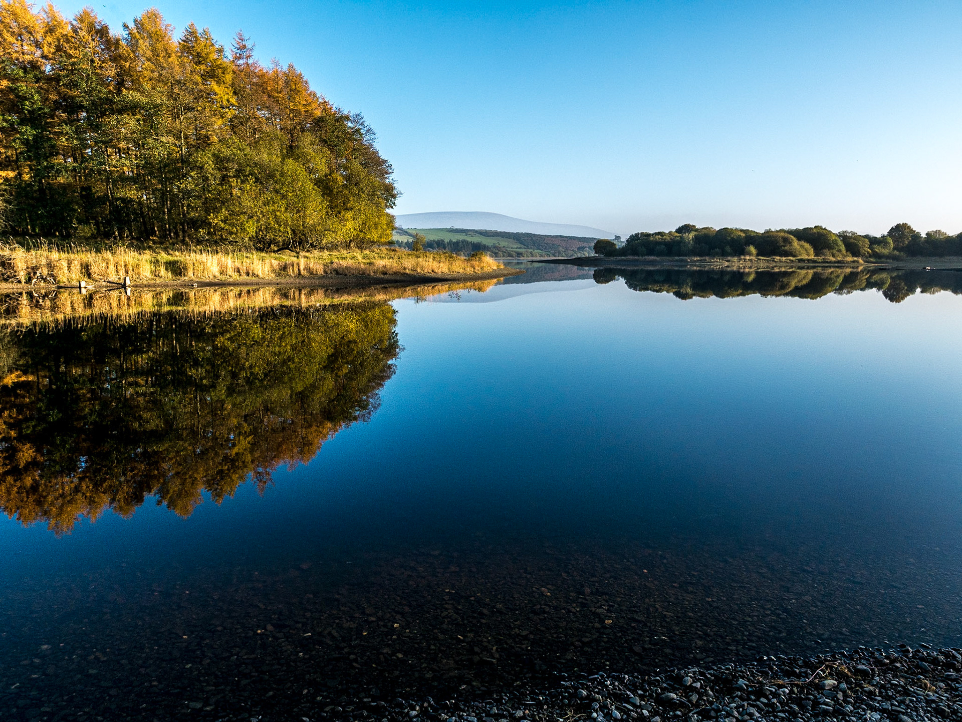 Blessington Lakes, Co Wicklow, 1 Nov 2015