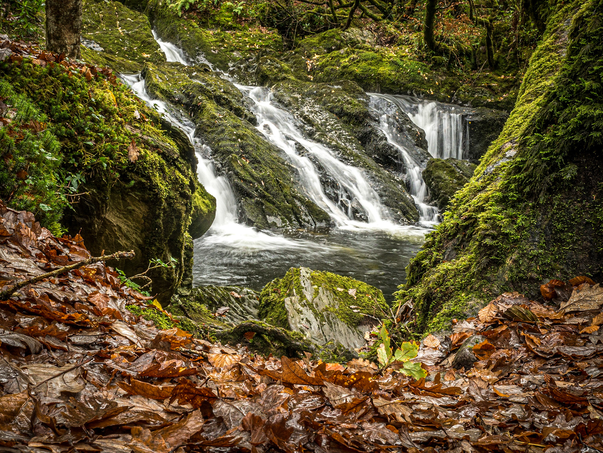 Waterfall walk, Glengarriff, Co Cork, 19 Nov 2016
