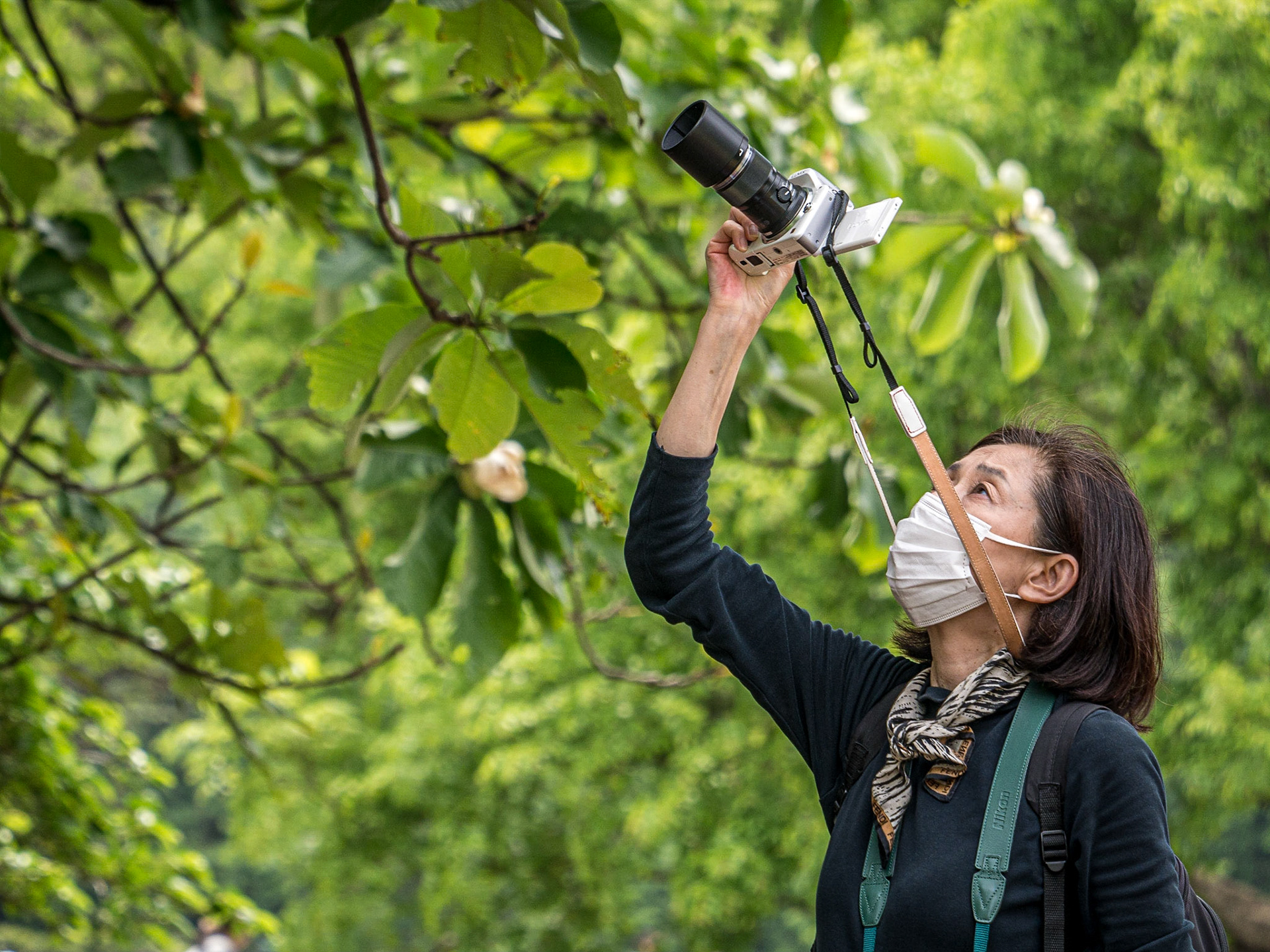 Shinjuku Gyoen National Garden, Tokyo, 3 May 2016