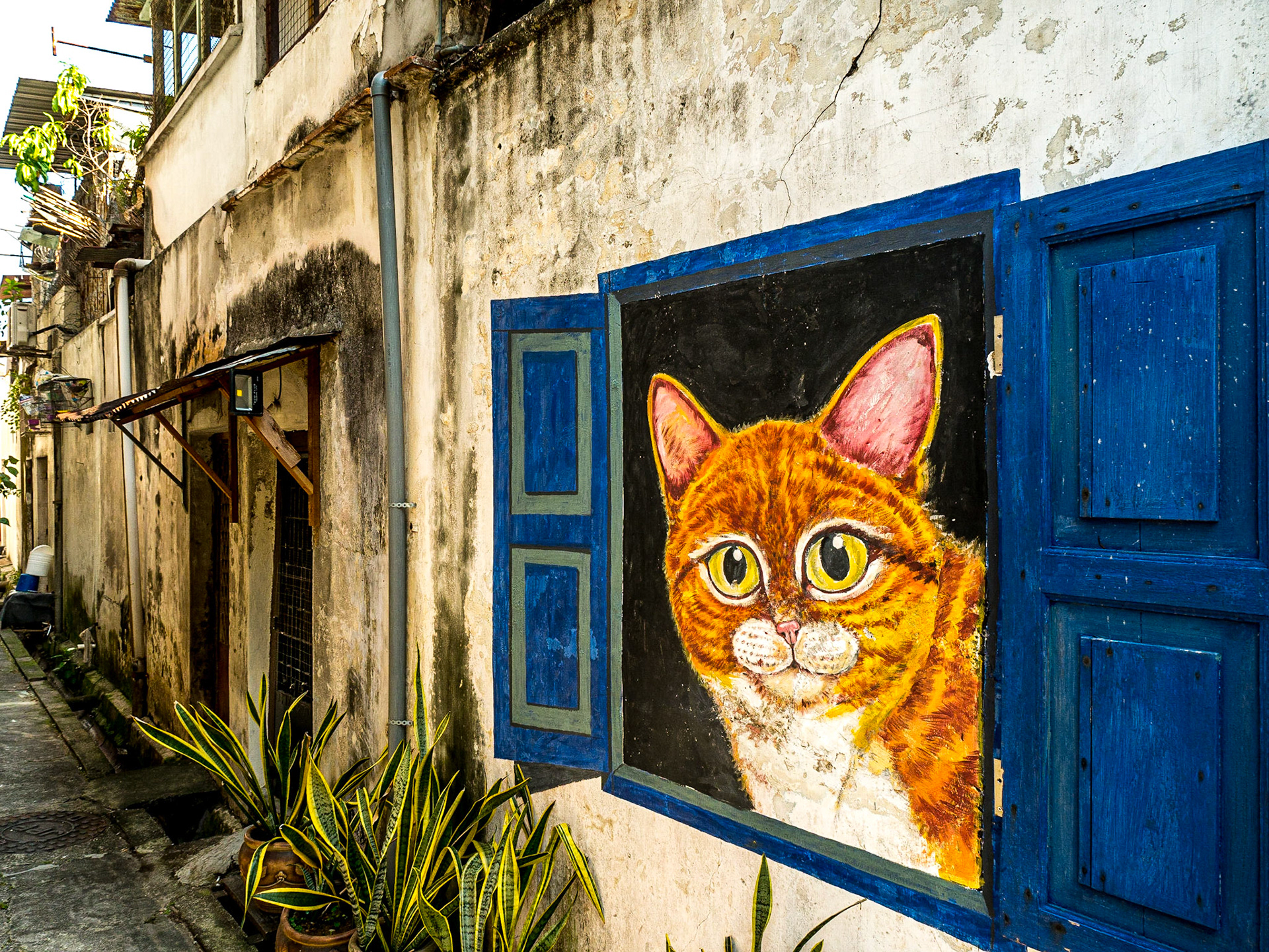 Georgetown, 9 Jun 2017