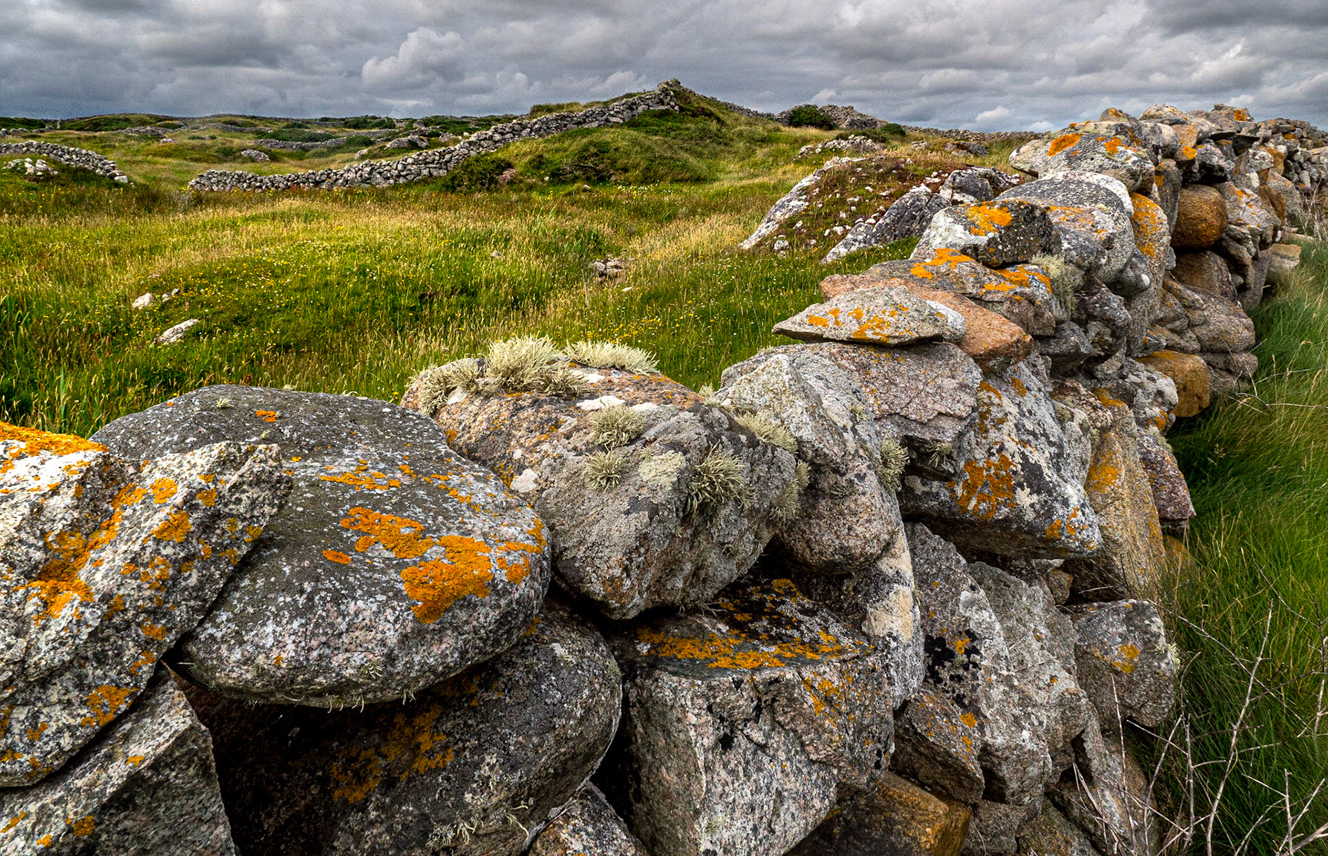 Doleen Harbour, near Carraroe, Co Galway, 13 Jun 2022