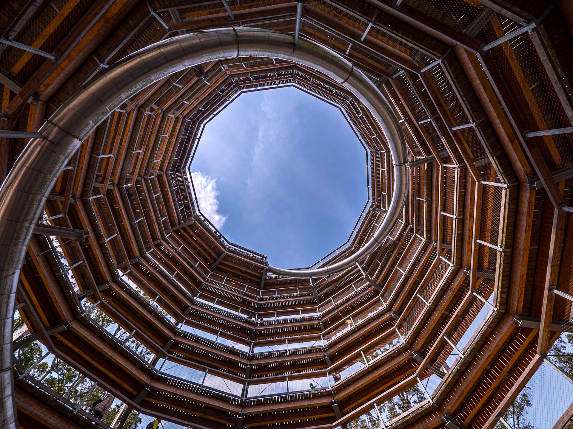 Avondale Forest Park, Co Wicklow, 2 Jun 2025