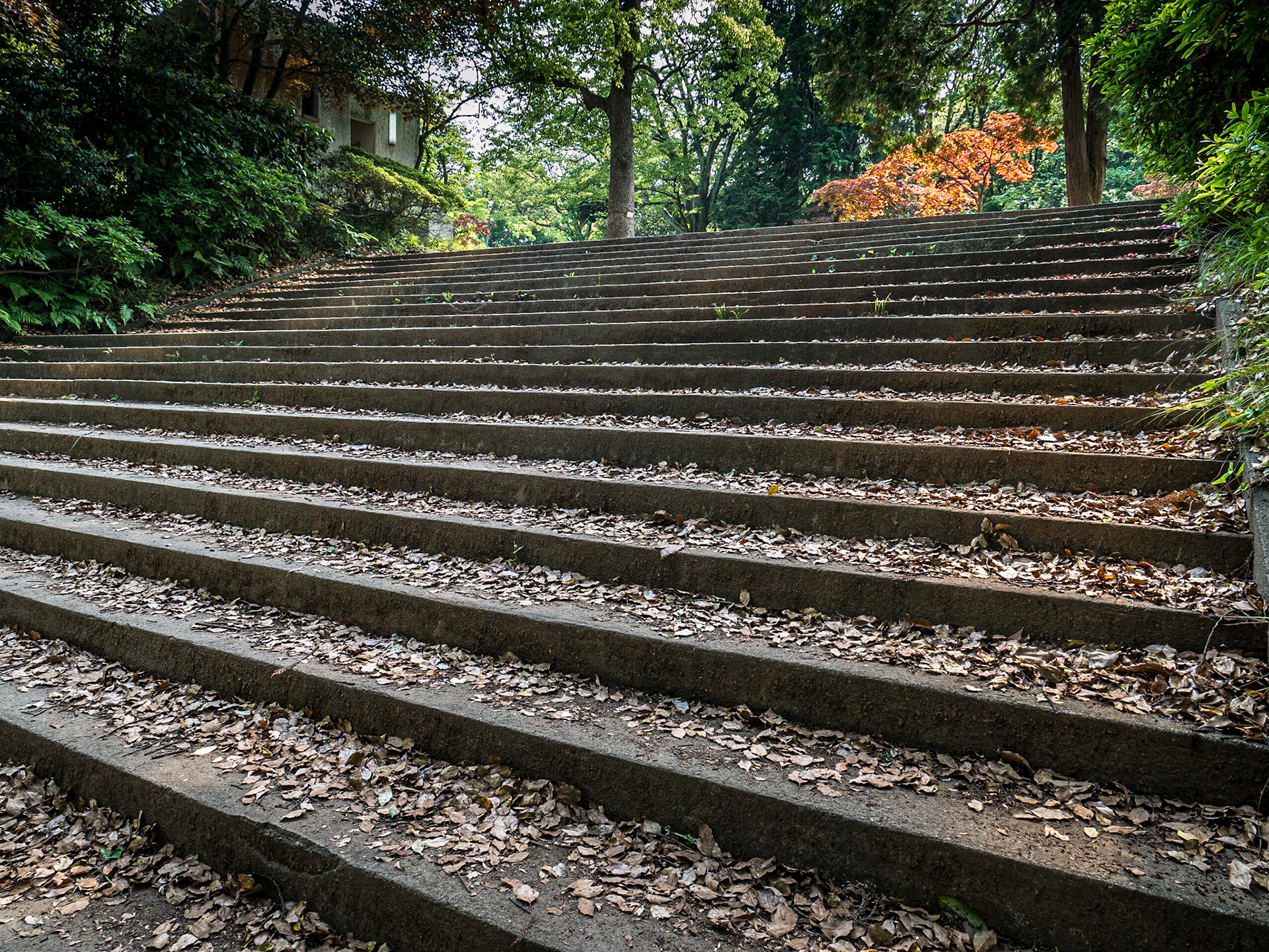 Daibutsu hiking trail, Kamakura, Japan, 1 May 2016