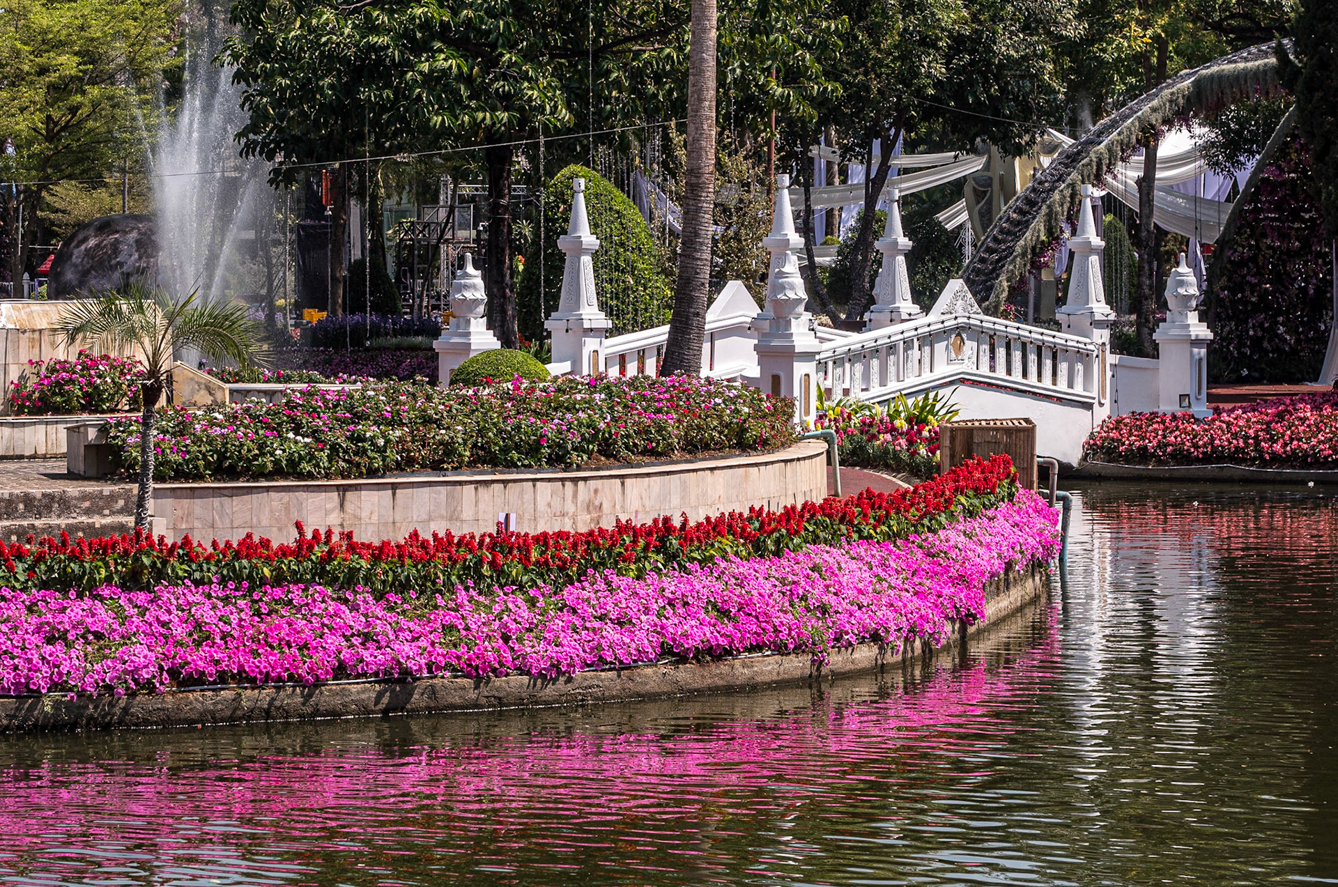 Buak Hard Public Park, Chiang Mai, 16 Feb 2026