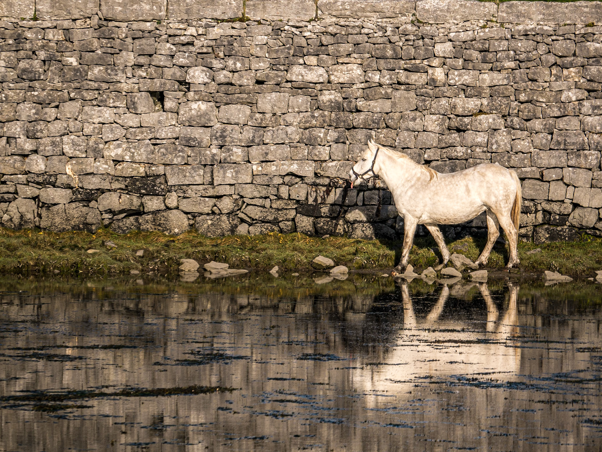 Ballyvaughan, Clare, 13 Oct 2015