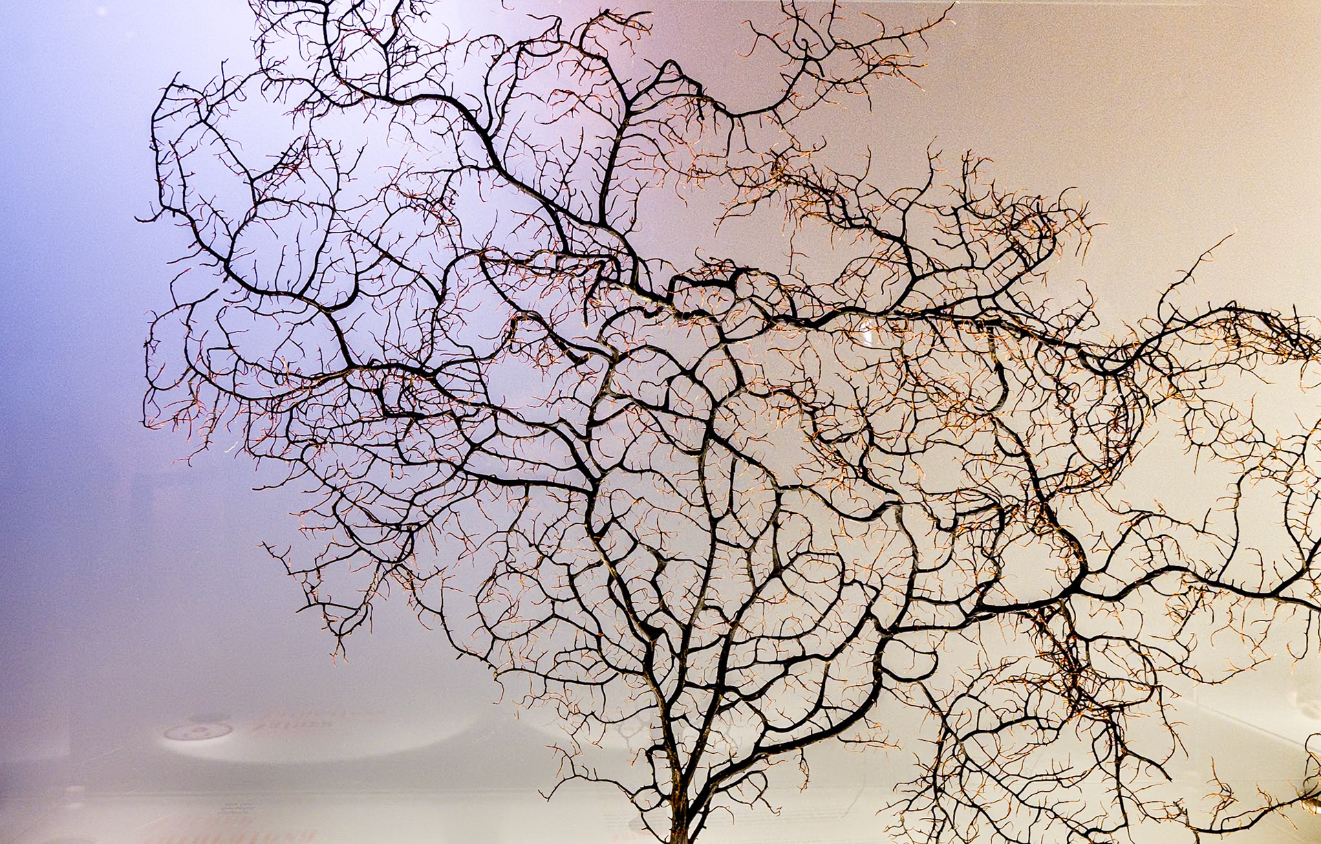 Apartment in Casa Milà (La Pedrera), Barcelona, 27 Jun 2016