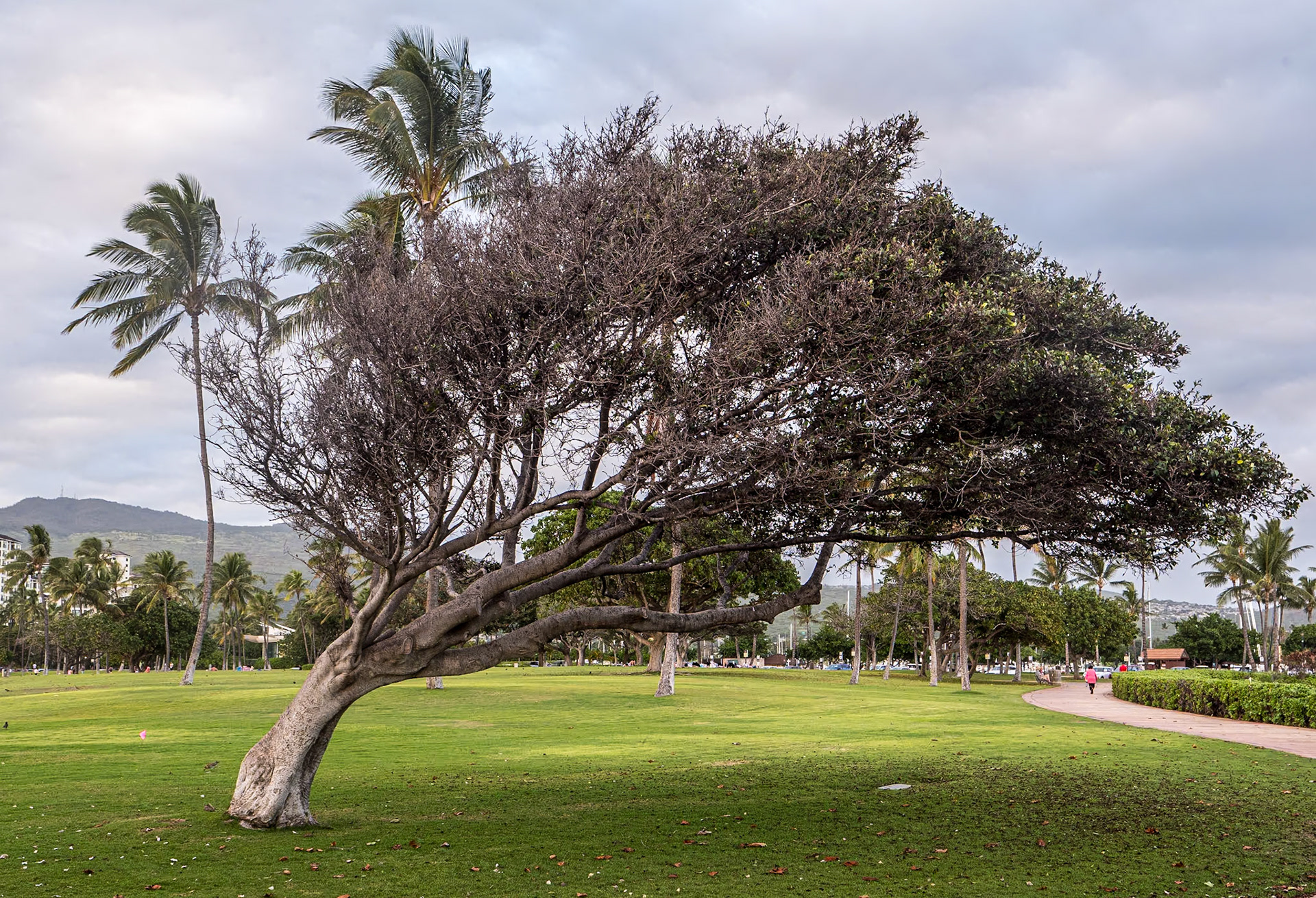 By Ulua Lagoon, O'ahu, Hawaii, 30 Jan 2024