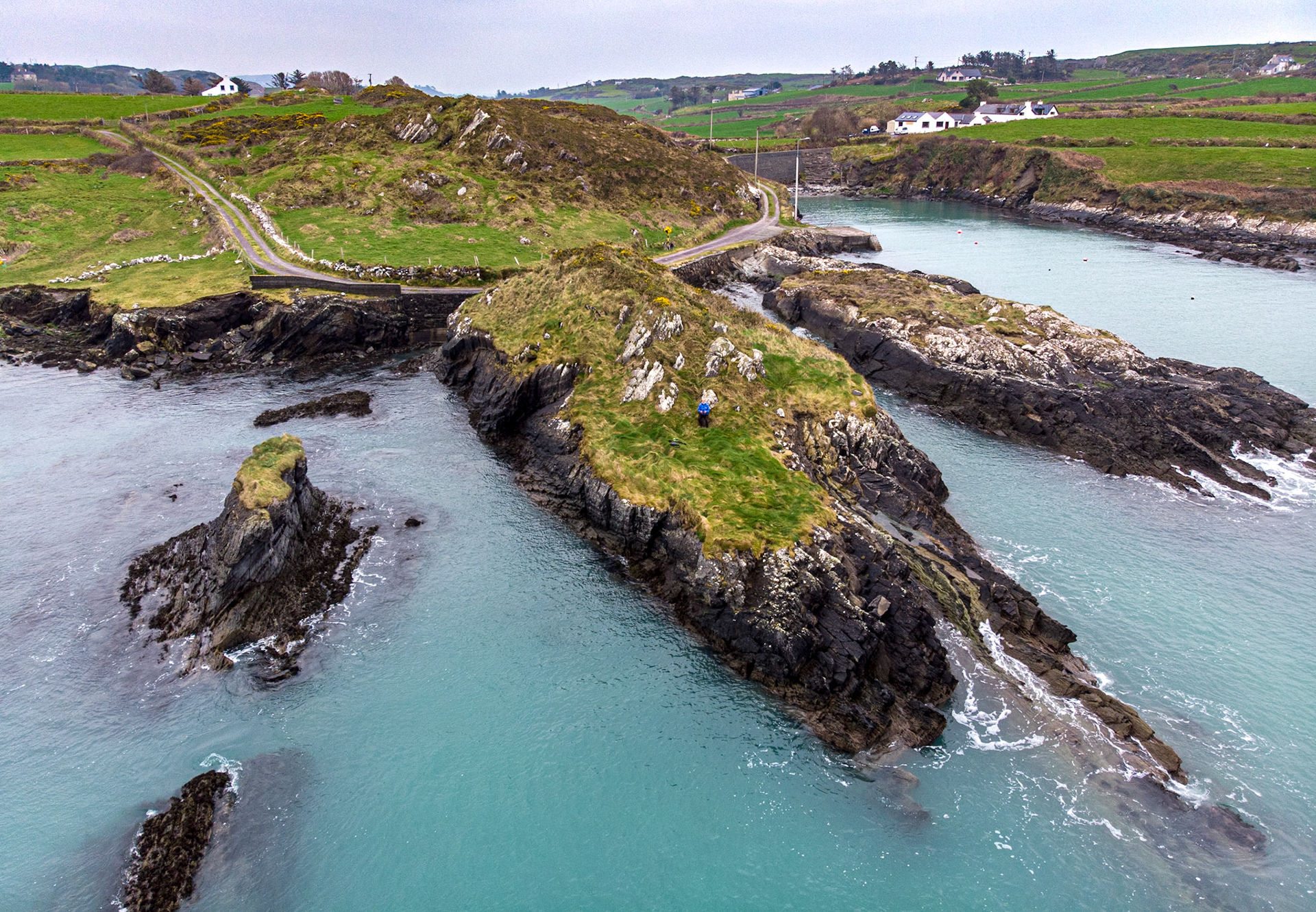 Castlepoint, Co Cork, 27 Feb 2019