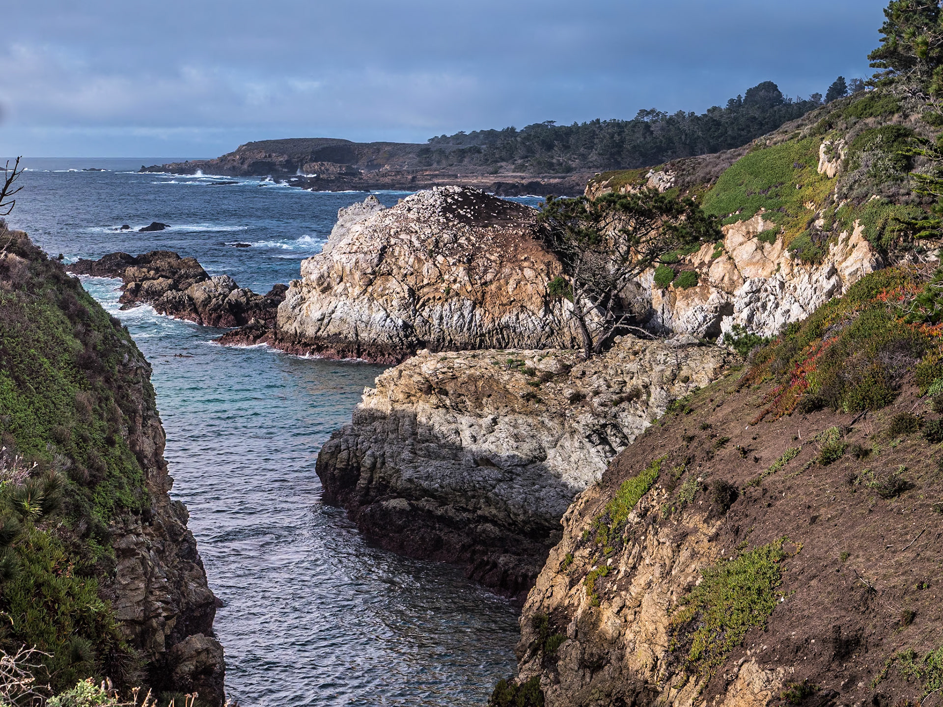 Point Lobos State Natural Reserve, California, 22 Jan 2024