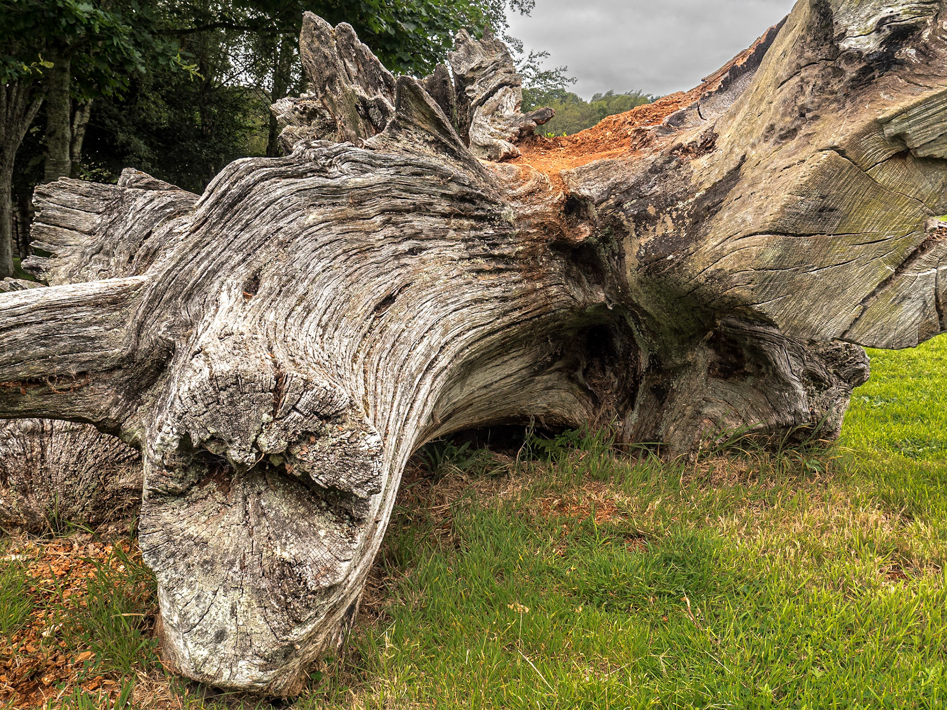 By the lake in Aughrim, Co Wicklow, 18 Aug 2021