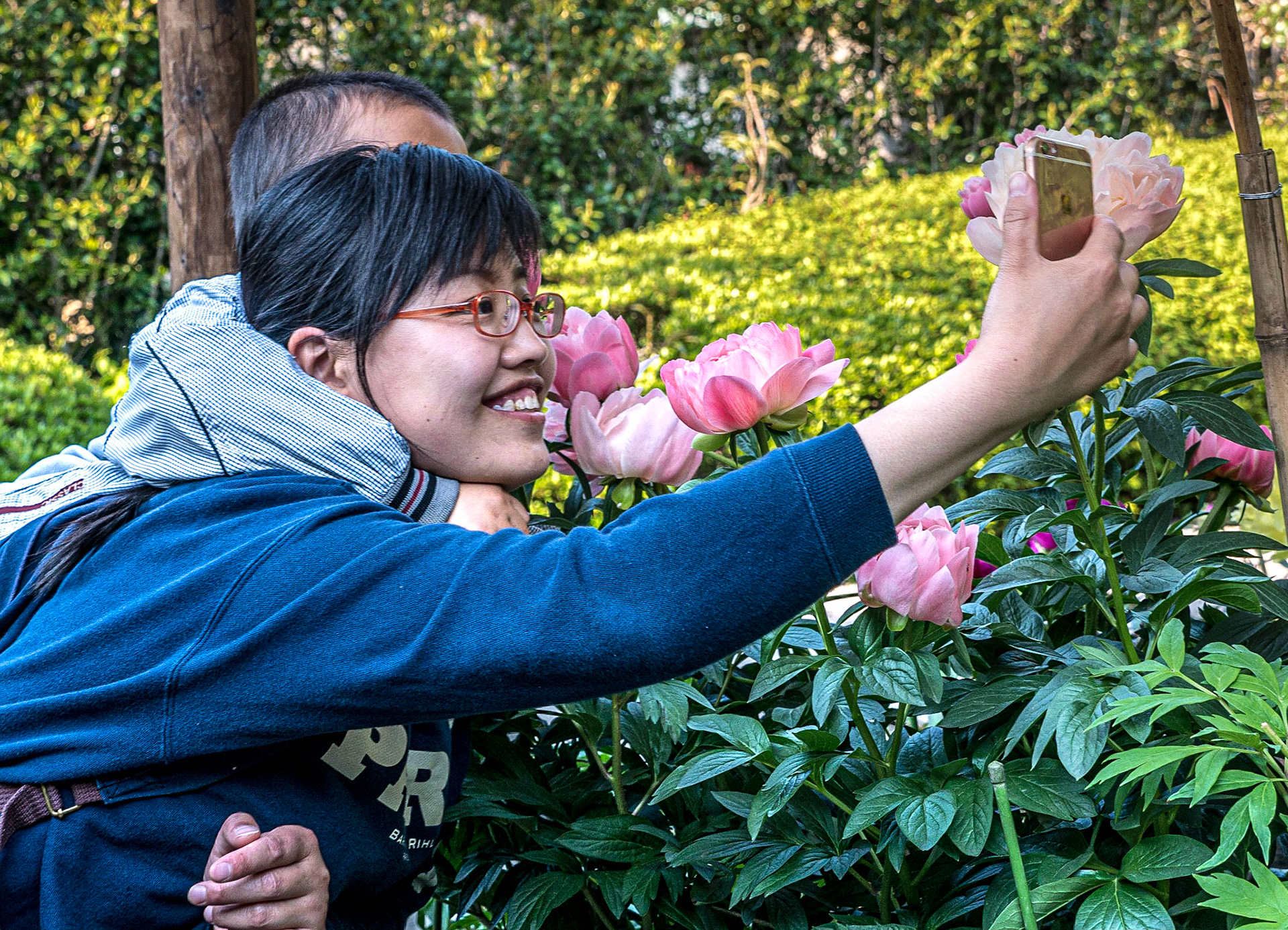 Toshogu Peony Garden, Ueno Park, Tokyo, 30 Apr 2016