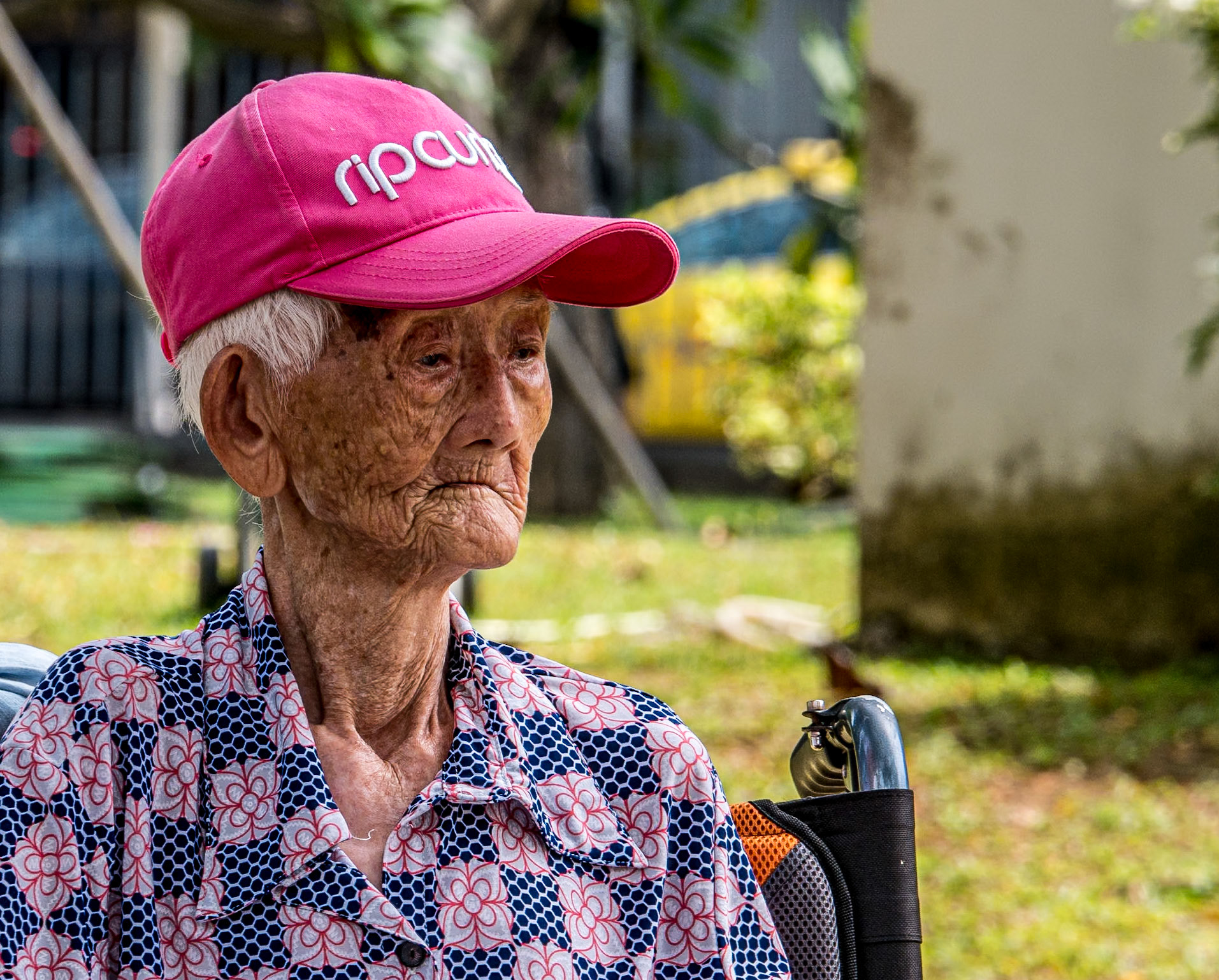Grounds of St Andrew's Cathedral, Singapore, 6 Jun 2017