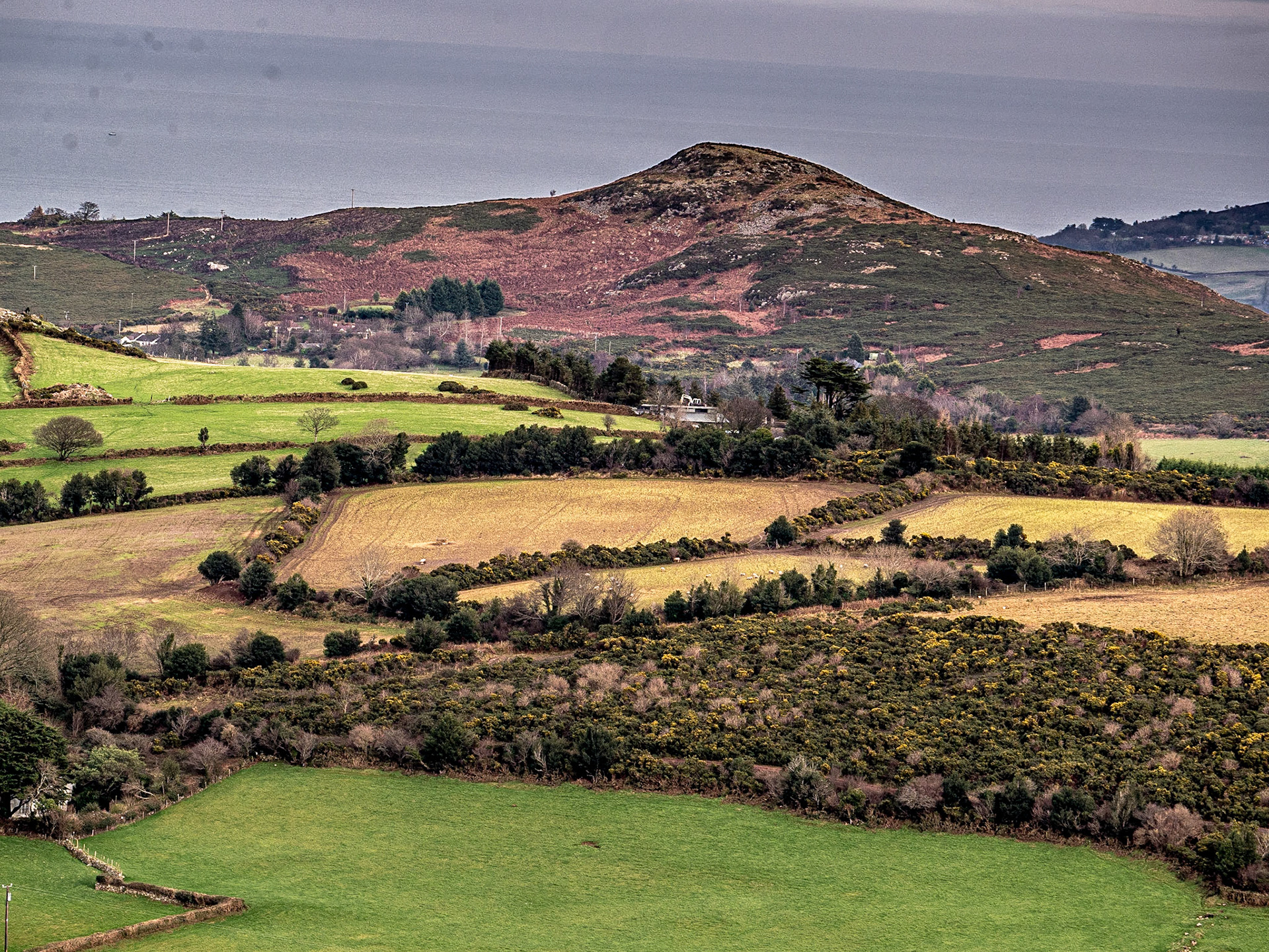 View from Crone Wood, Co Wicklow, 31 Jan 2017