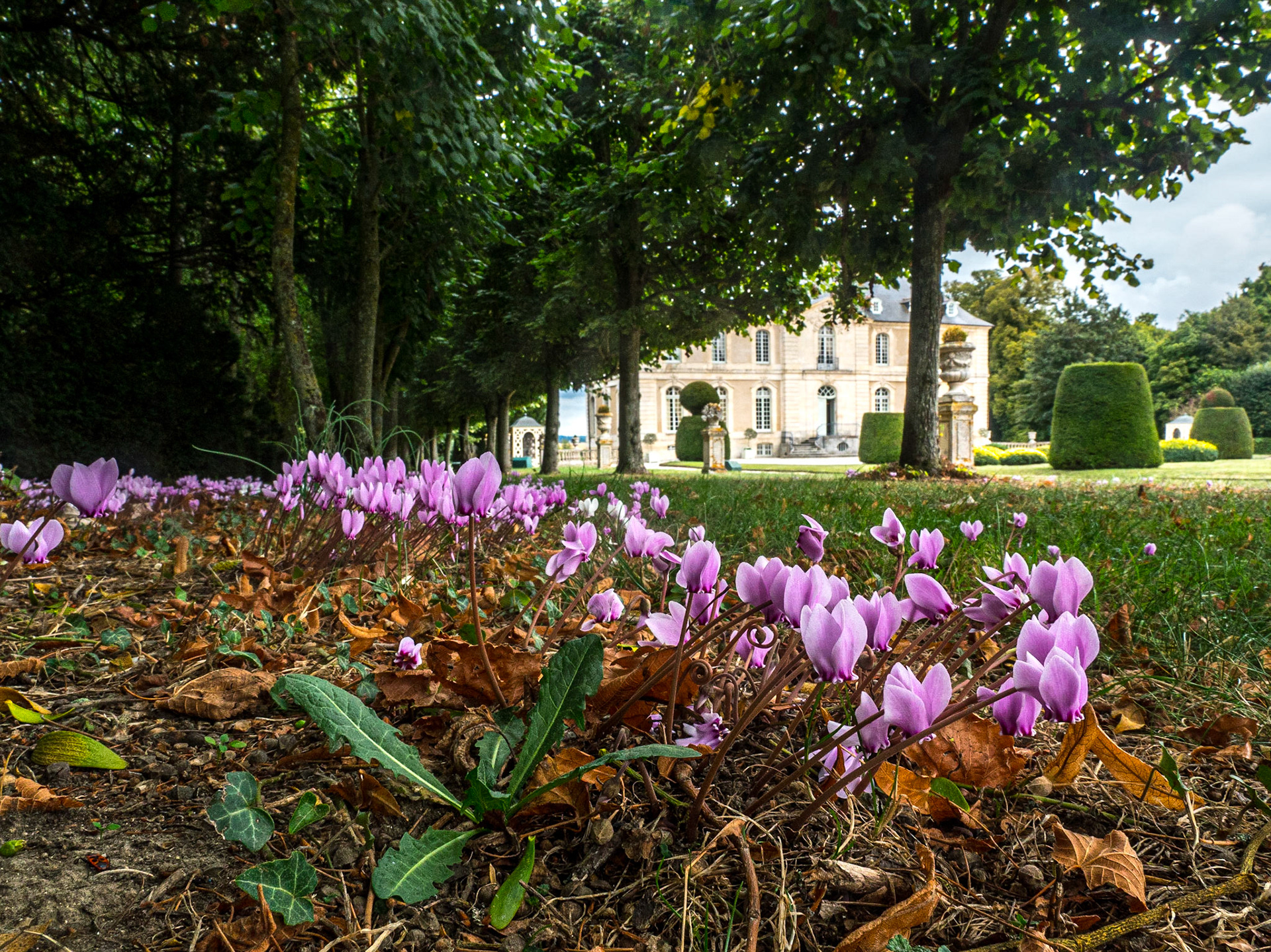 Grounds of Château de Vendeuvre, Normandy,13 Sep 2019