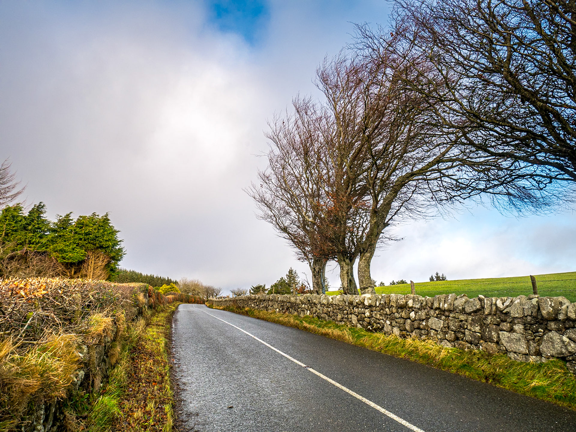 Glencullen, Co Dublin, 4 Jan 2018