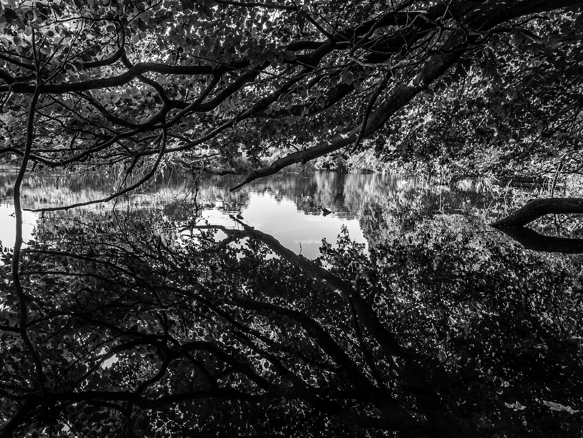 River Liffey at St Catherine's Park, Dublin, 22 Sep 2014