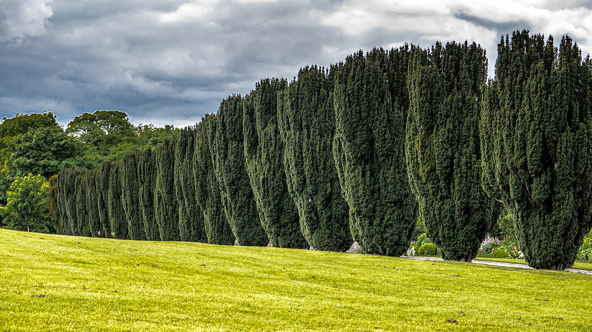 Ardgillan Demesne, Co Dublin, 7 Jun 2015