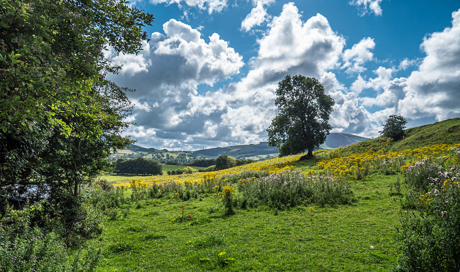 Near Hollywood, Co Wicklow, 4 Aug 2022