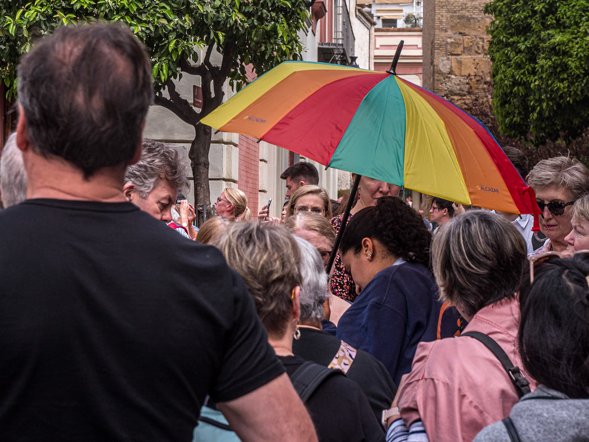 Plaza del Triunfo, Seville, 20 Mar 2024