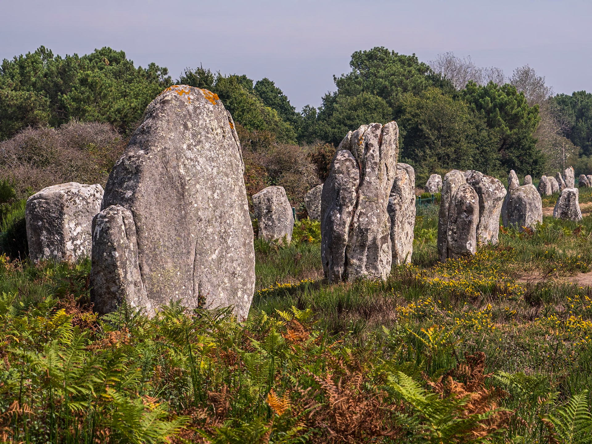 Alignments de Carnac, France, 13 Sep 2022