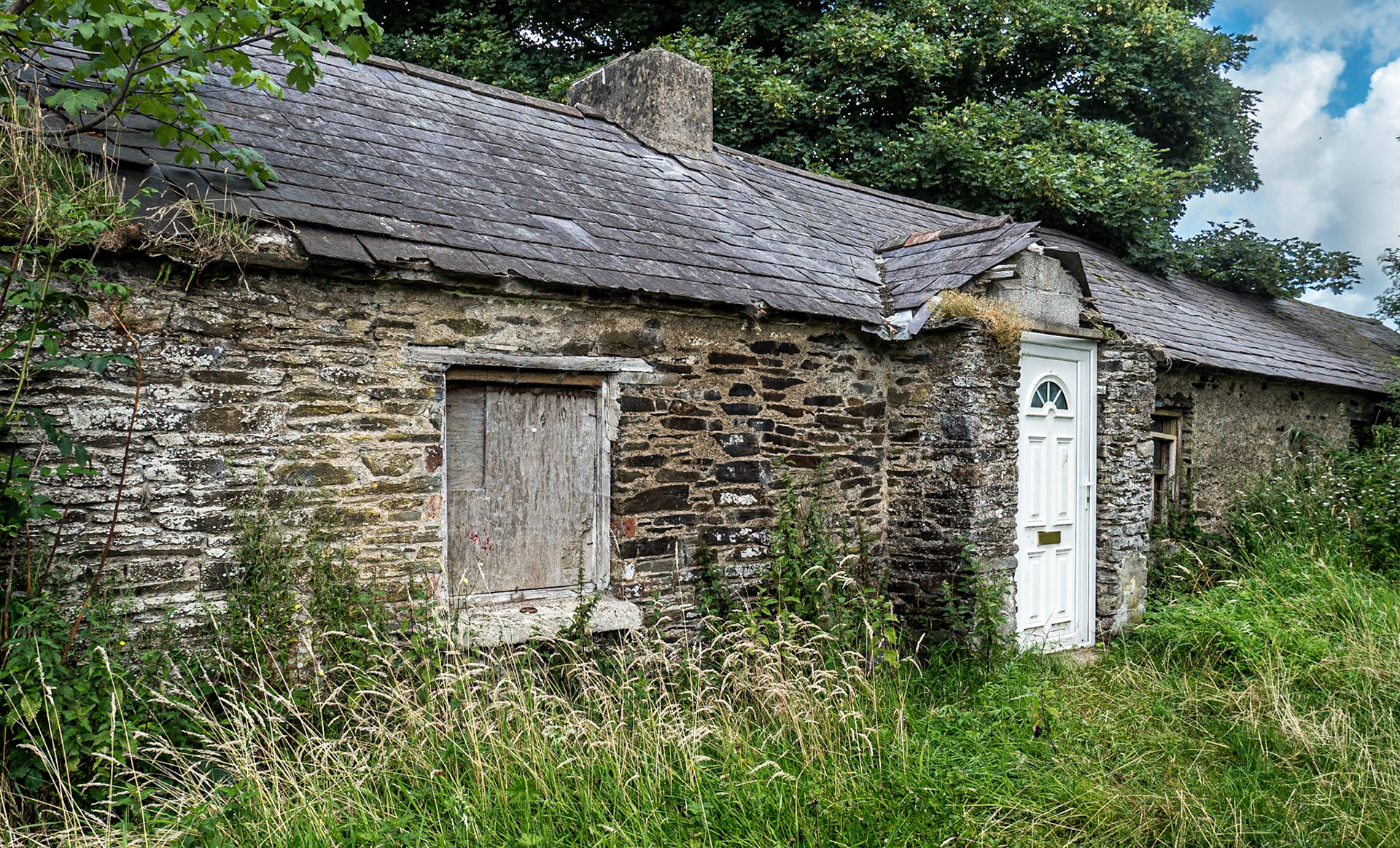Near Hollywood, Co Wicklow, 4 Aug 2022