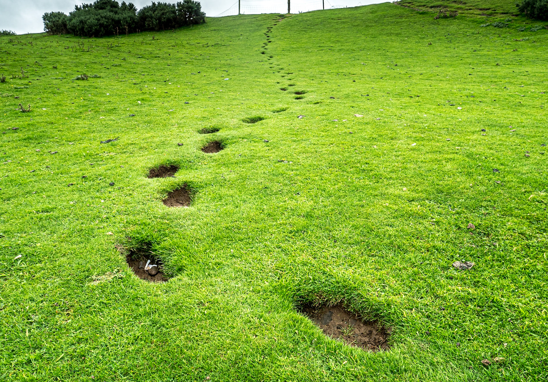 Donnelly's Hollow, Co Kildare, 2 Sep 2020