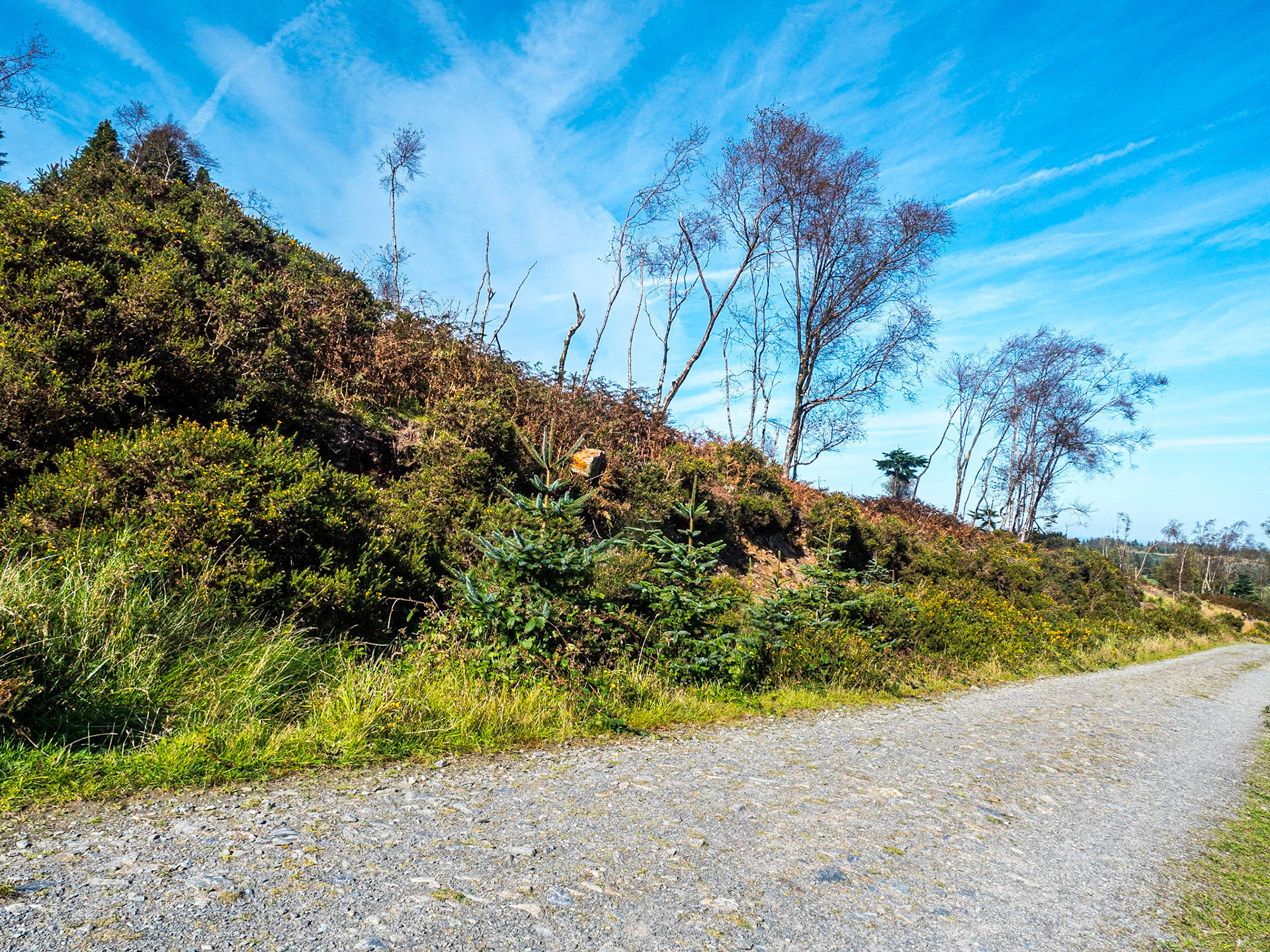 Saggart Hill, Co Dublin, 27 Sep 2020
