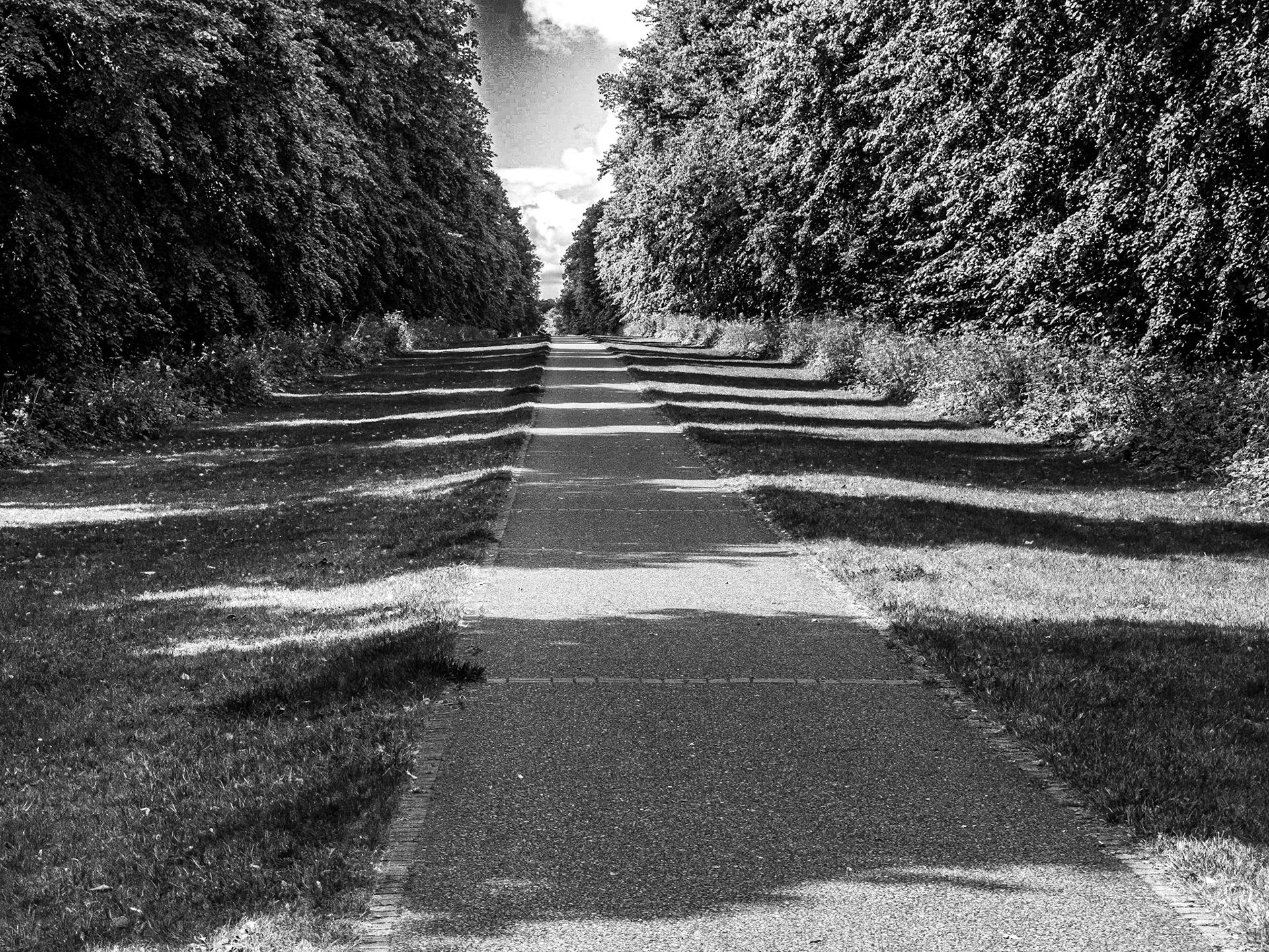 Carton Carton Avenue, Co Kildare, 10 Aug 2015