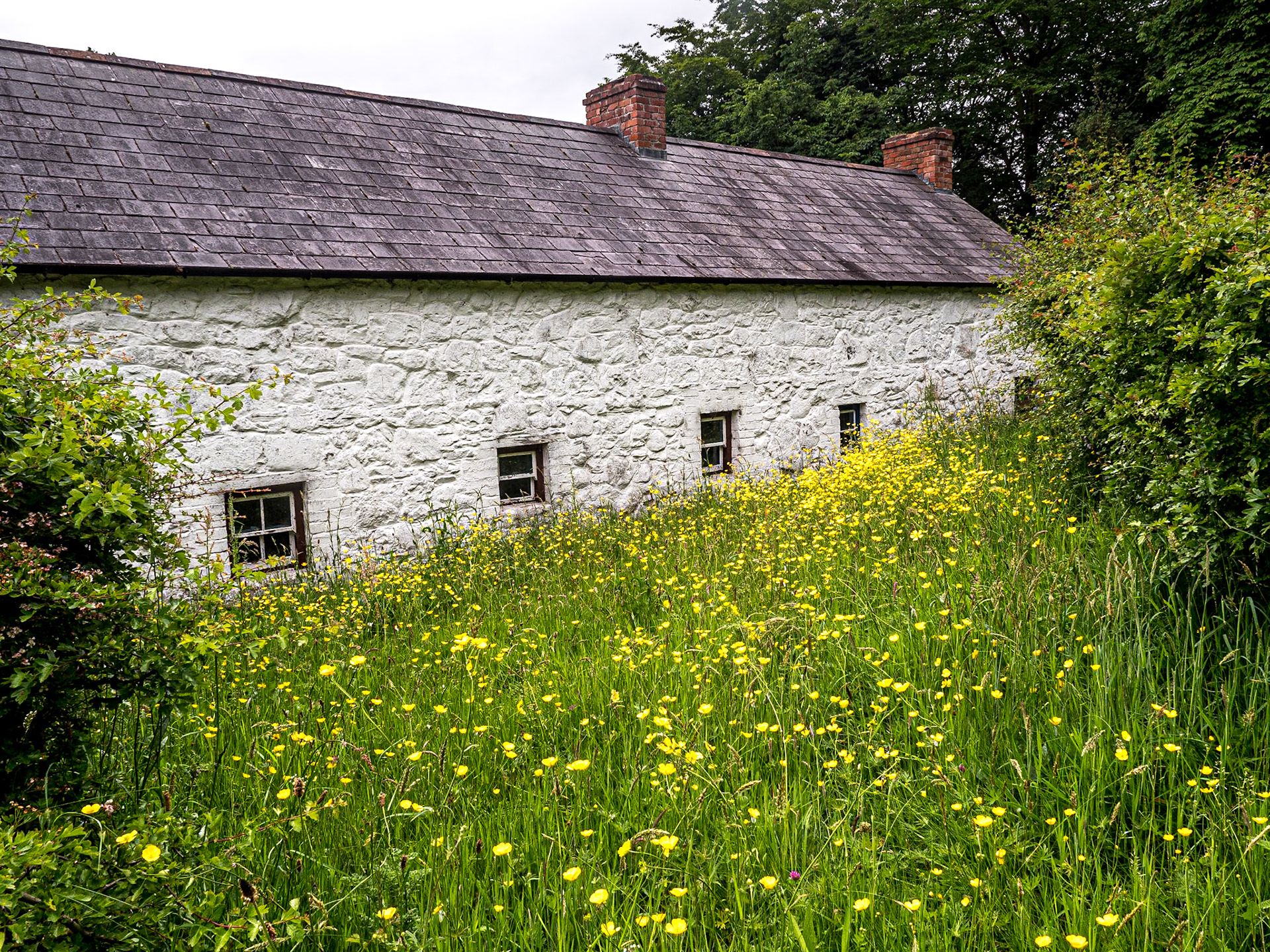 Ulster Folk Museum, Co Down, 15 Jun 2021