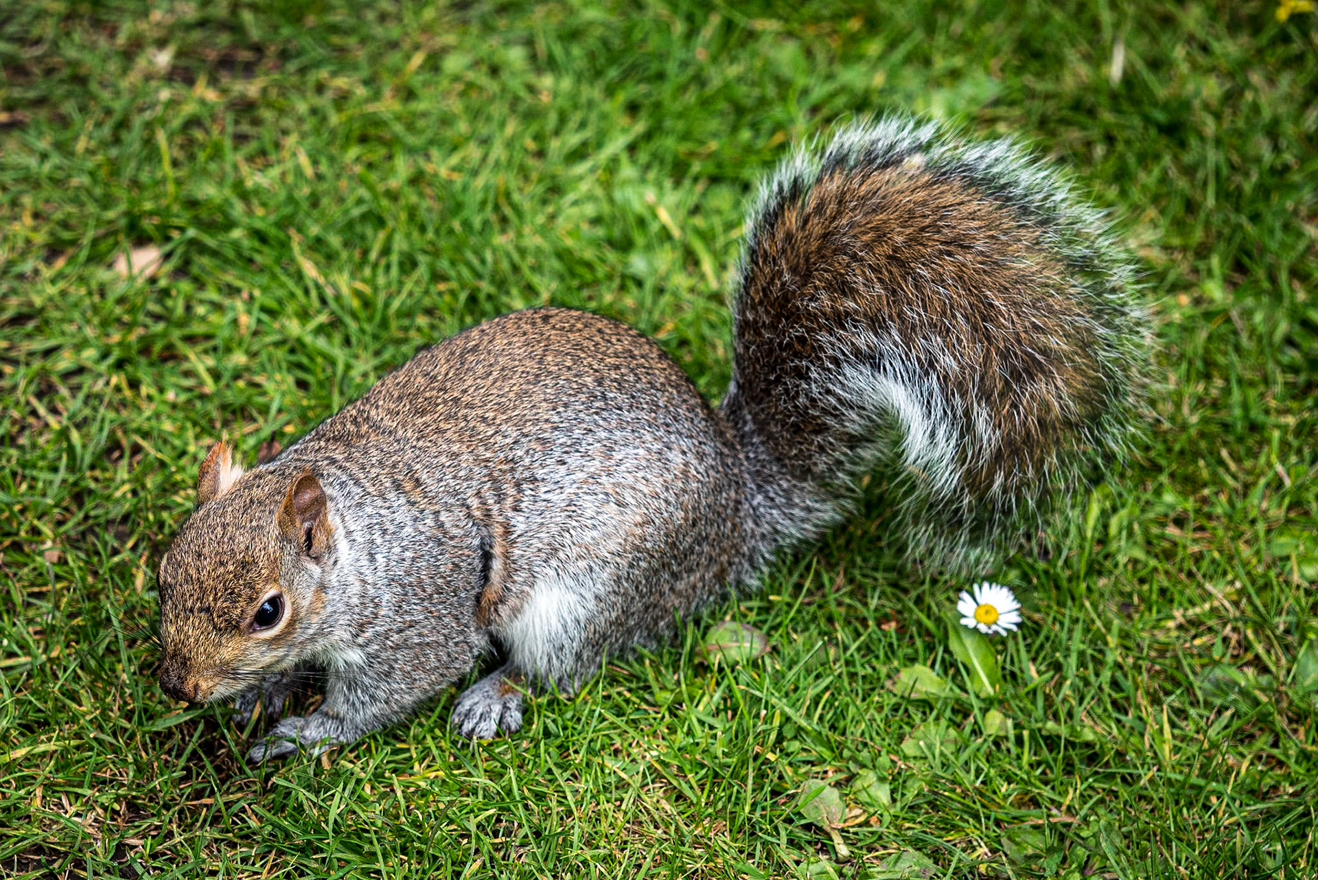 Botanic Gardens, Dublin, 13 Apr 2021