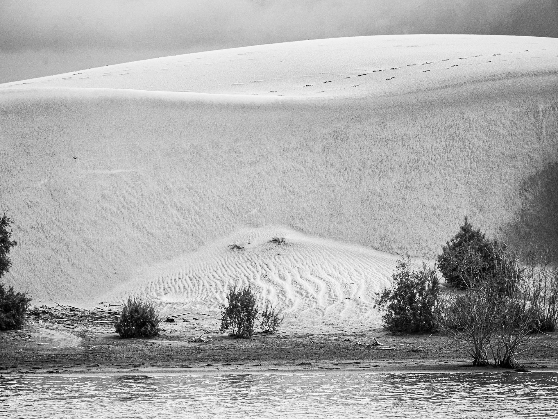 La Charca reserve, Maspalomas, Gran Canaria, 19 Feb 2016