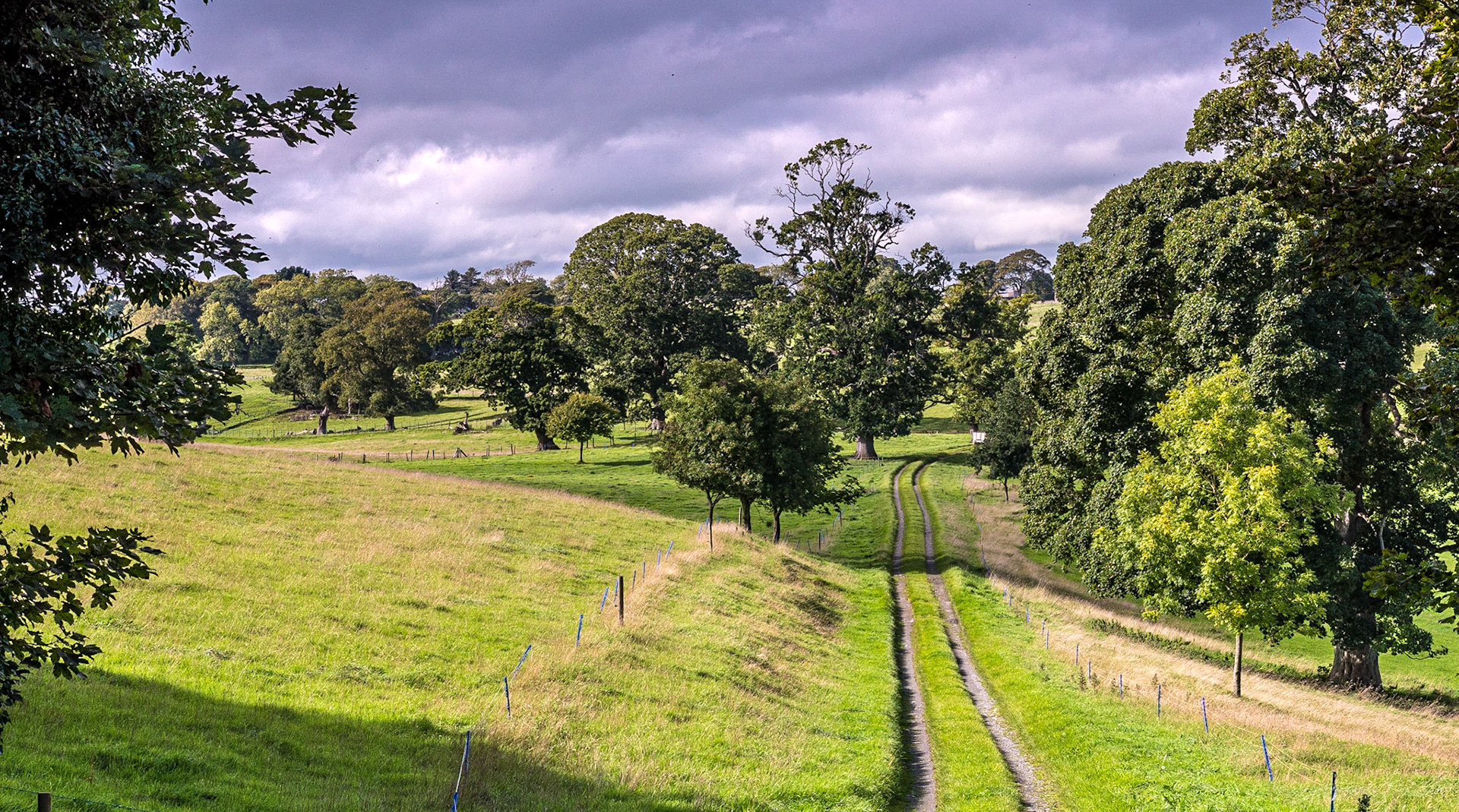 Grounds of Castle Ward, Co Down, 18 Sep 2018