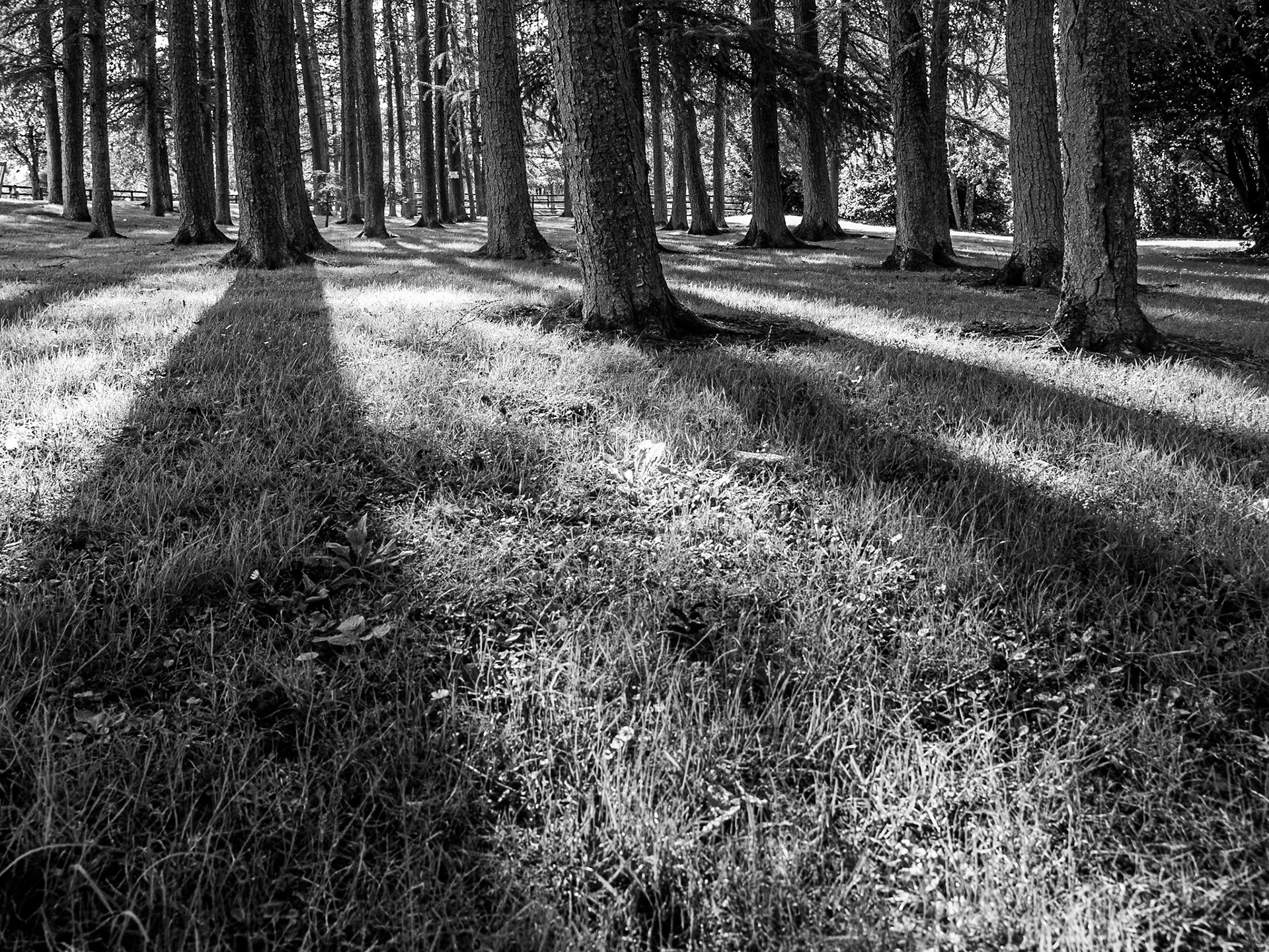 National Stud Gardens, Kildare, 20 Sep 2016