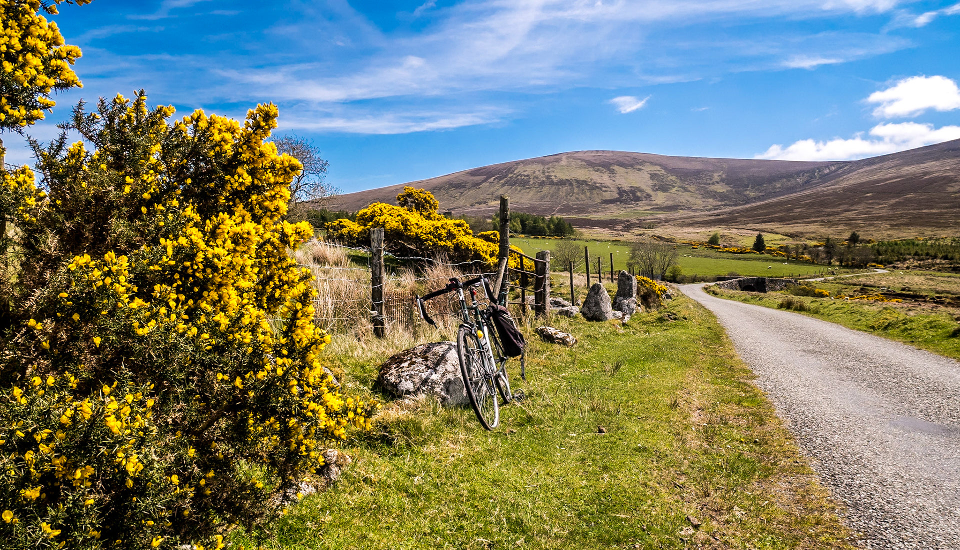 Ballyfolan, Co Wicklow, 21 May 2015