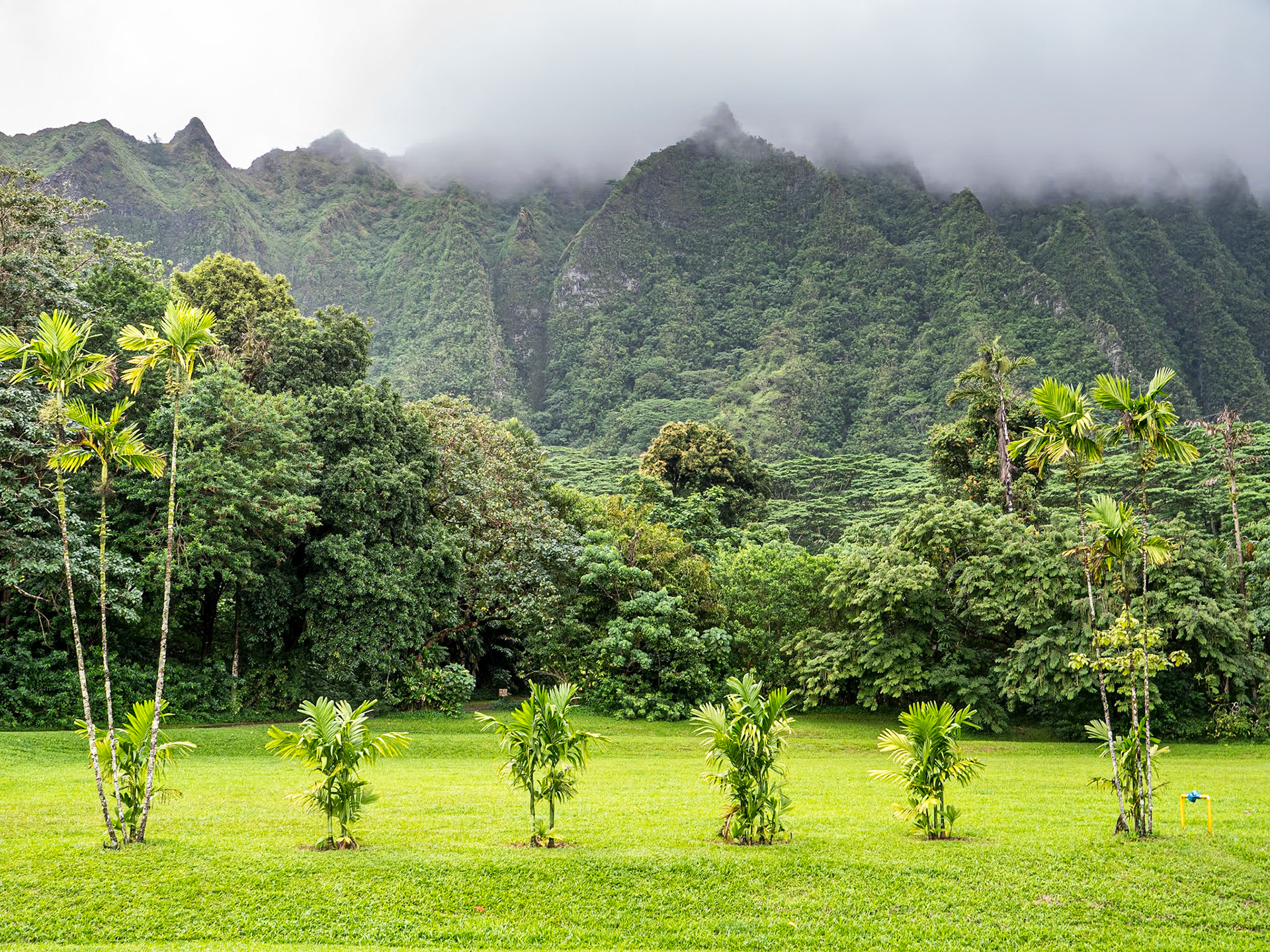 Hoʻomaluhia Botanical Garden, O'ahu, Hawaii, 28 Jan 2024