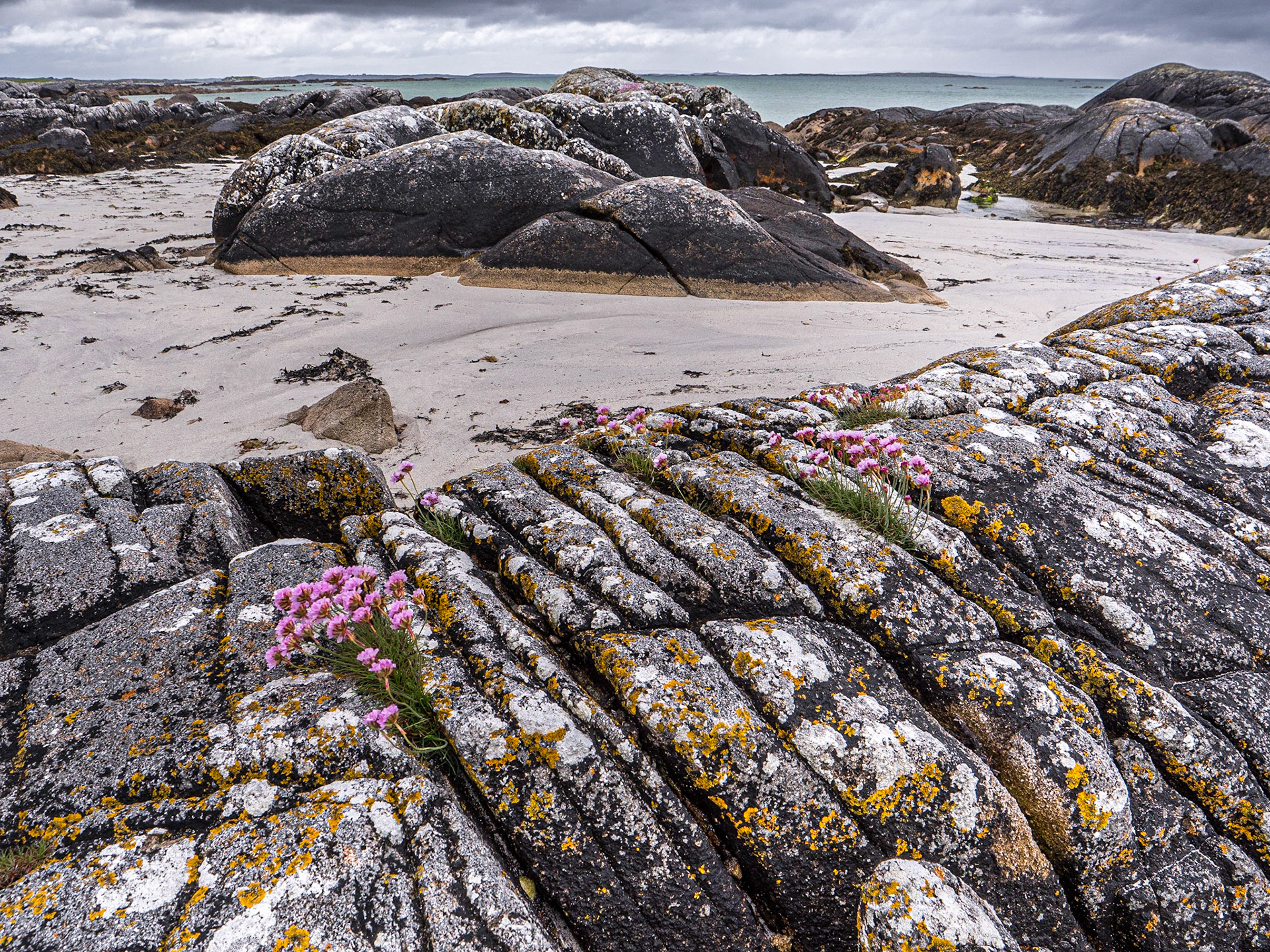 Beach at Ardmore, near Kilkieran, Co Galway, 11 May 2023