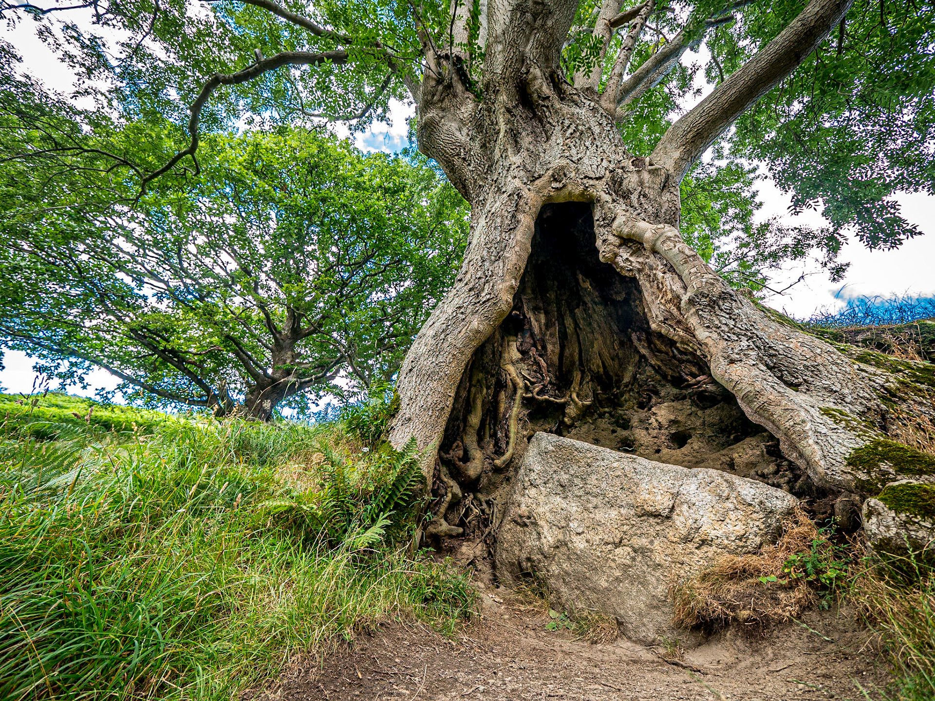 Knockree, Co Wicklow, 2 Aug 2017
