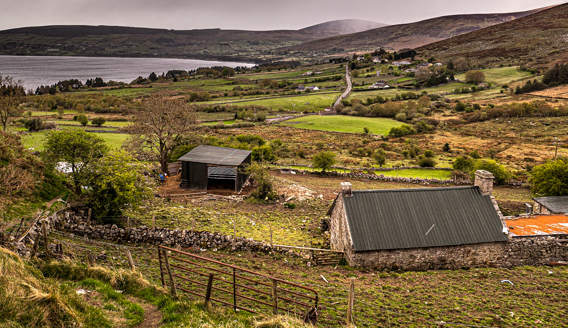 Ballyknockan, Co Wicklow, 29 Apr 2021