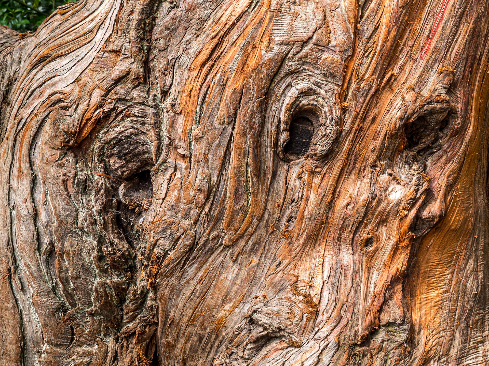 Sir Thomas and Lady Dixon Park, Co Antrim,14 Jun 2021
