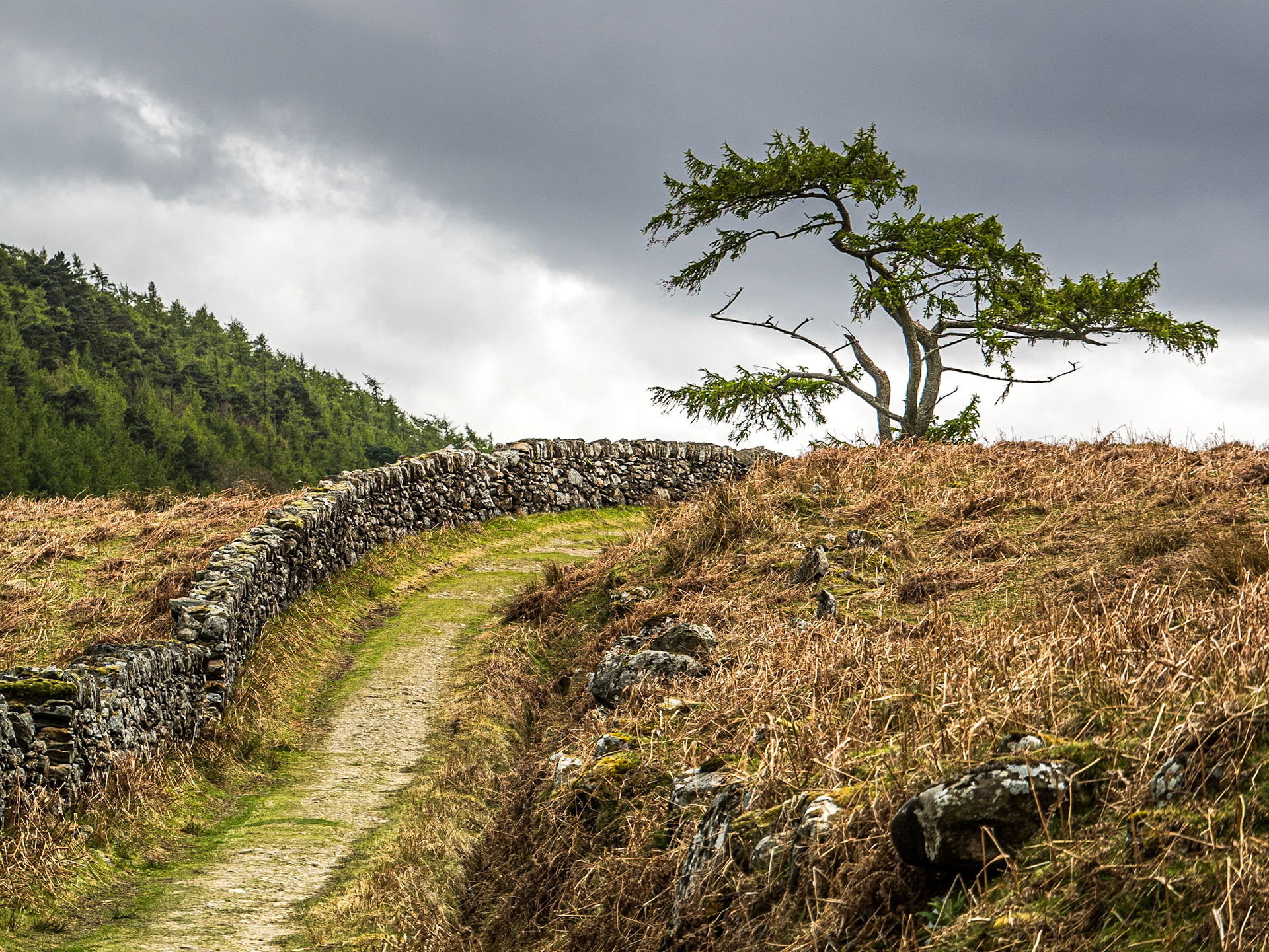 Walking from the Pier Gates to Lough Dan, 4 May 2015